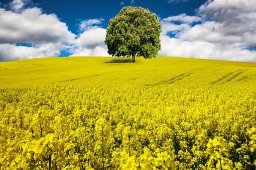 Ferienwohnung Timmendorfer
