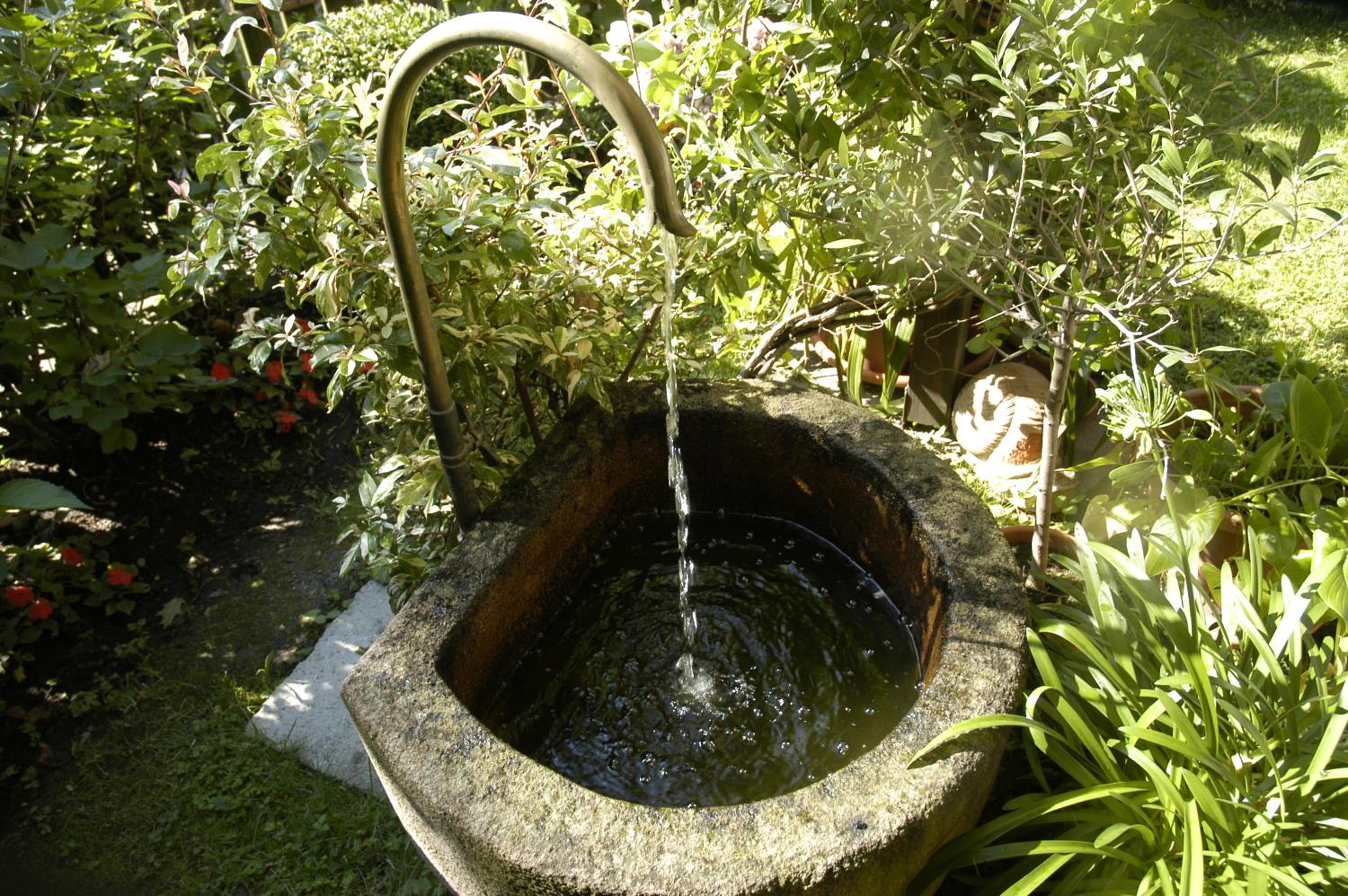 garden