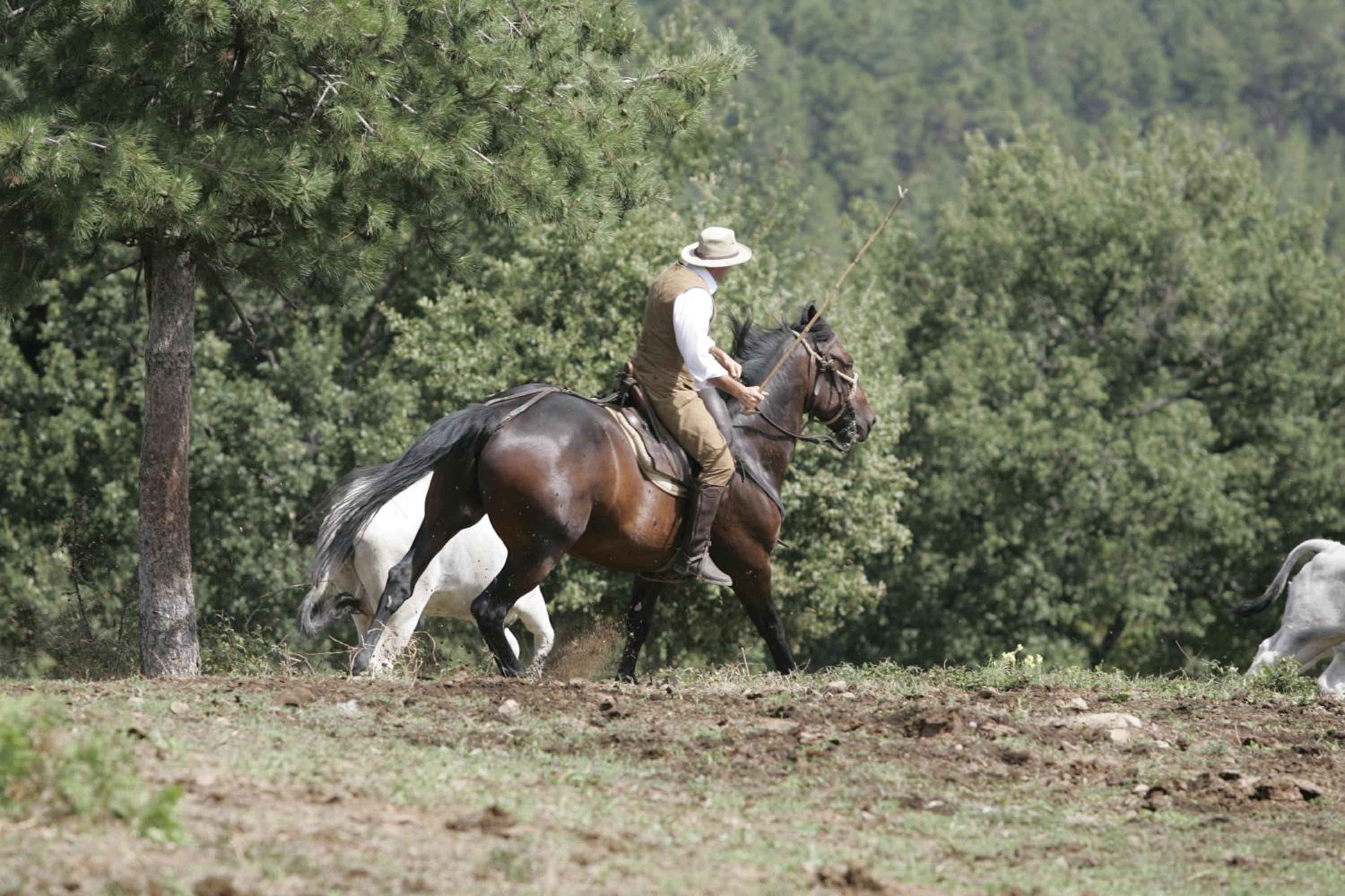 Agri Resort La Forra