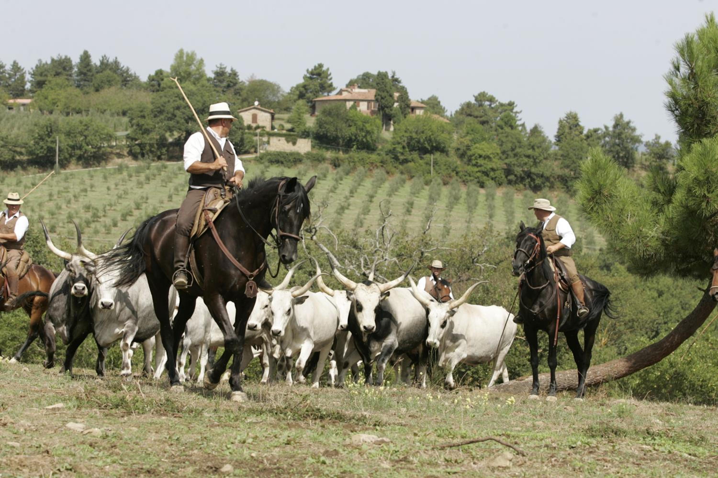 Agri Resort La Forra