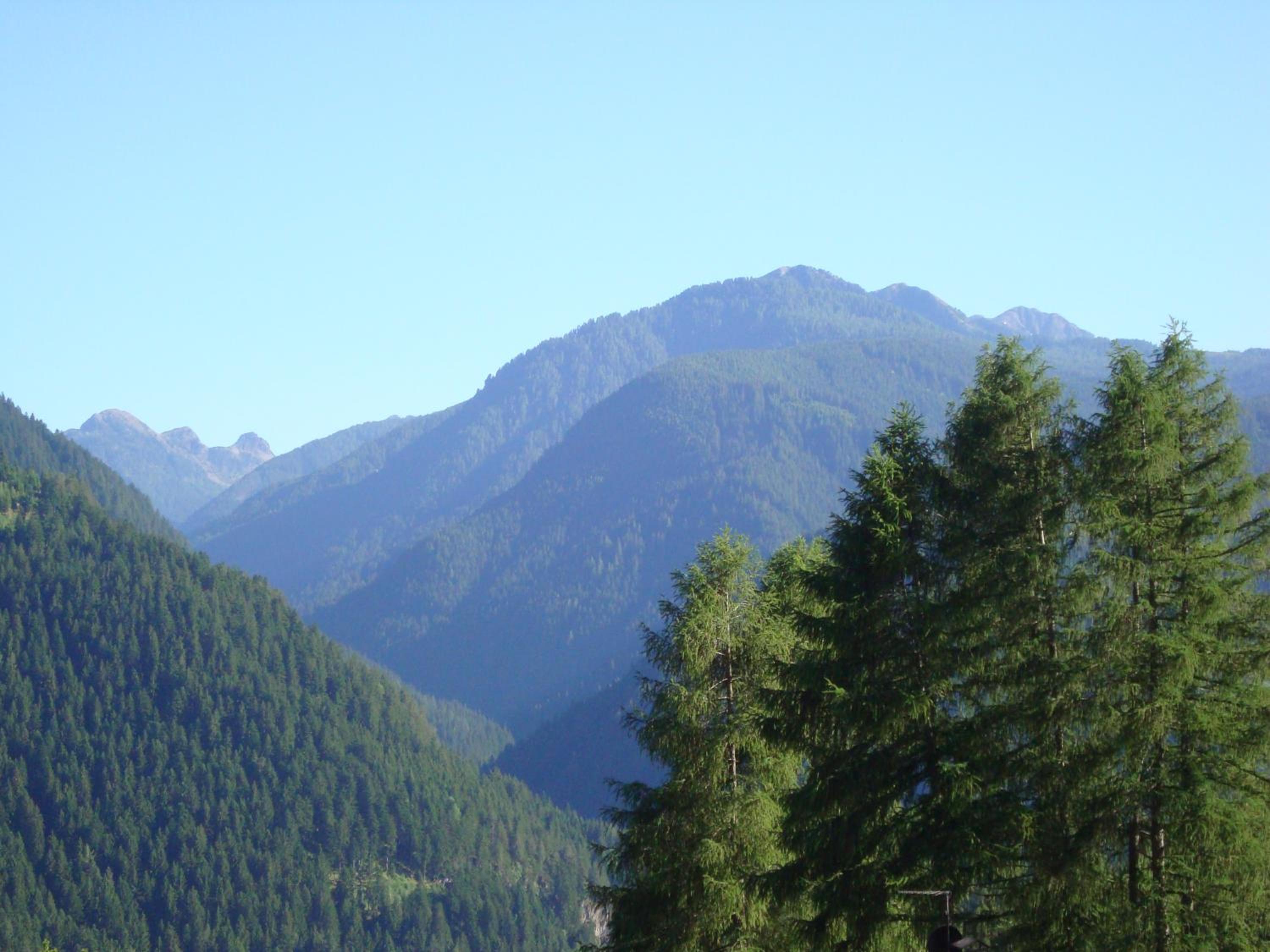 Fiemme Deluxe Apartment view 4
