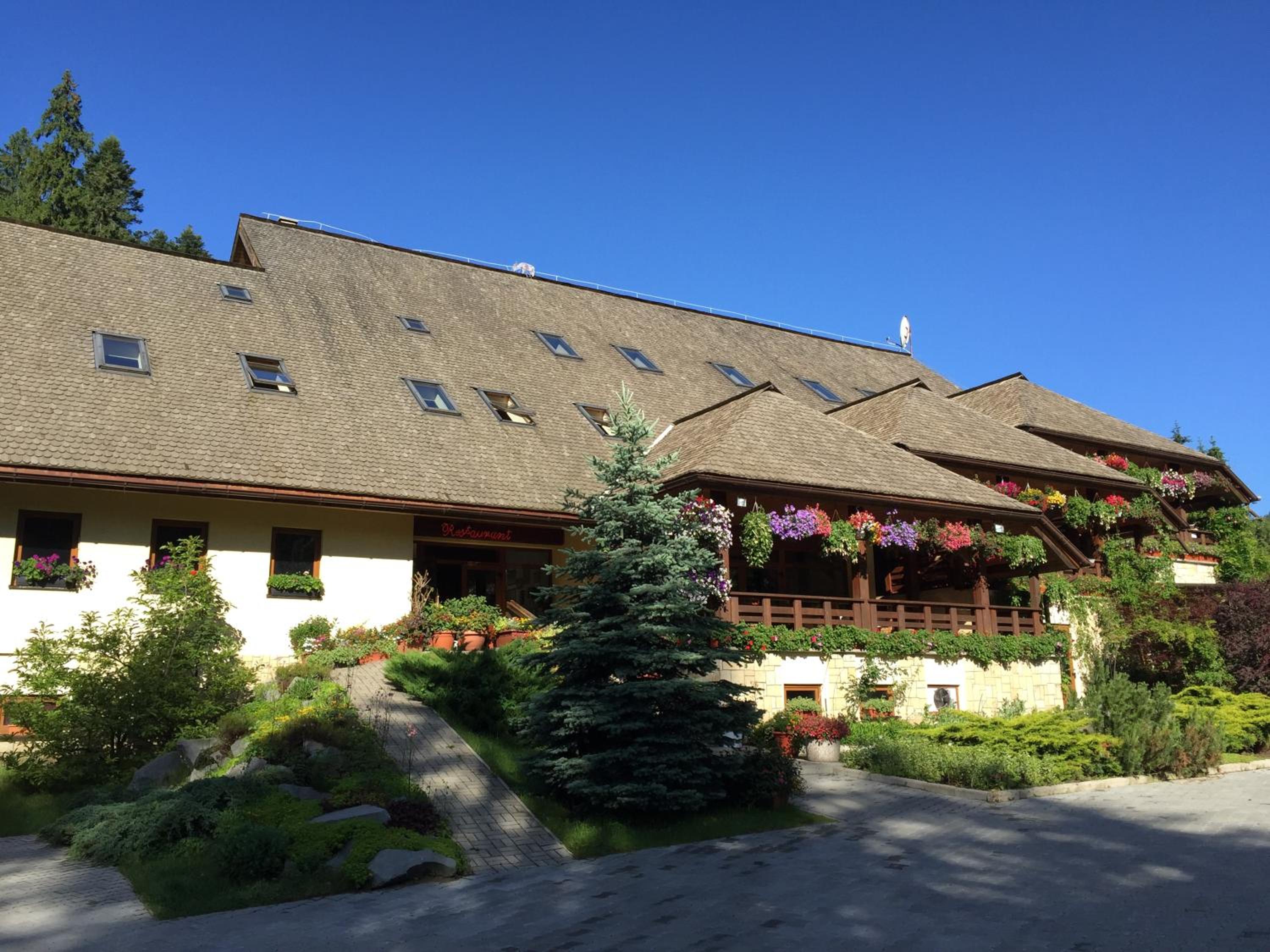 Complex Turistic Bucovina view 5