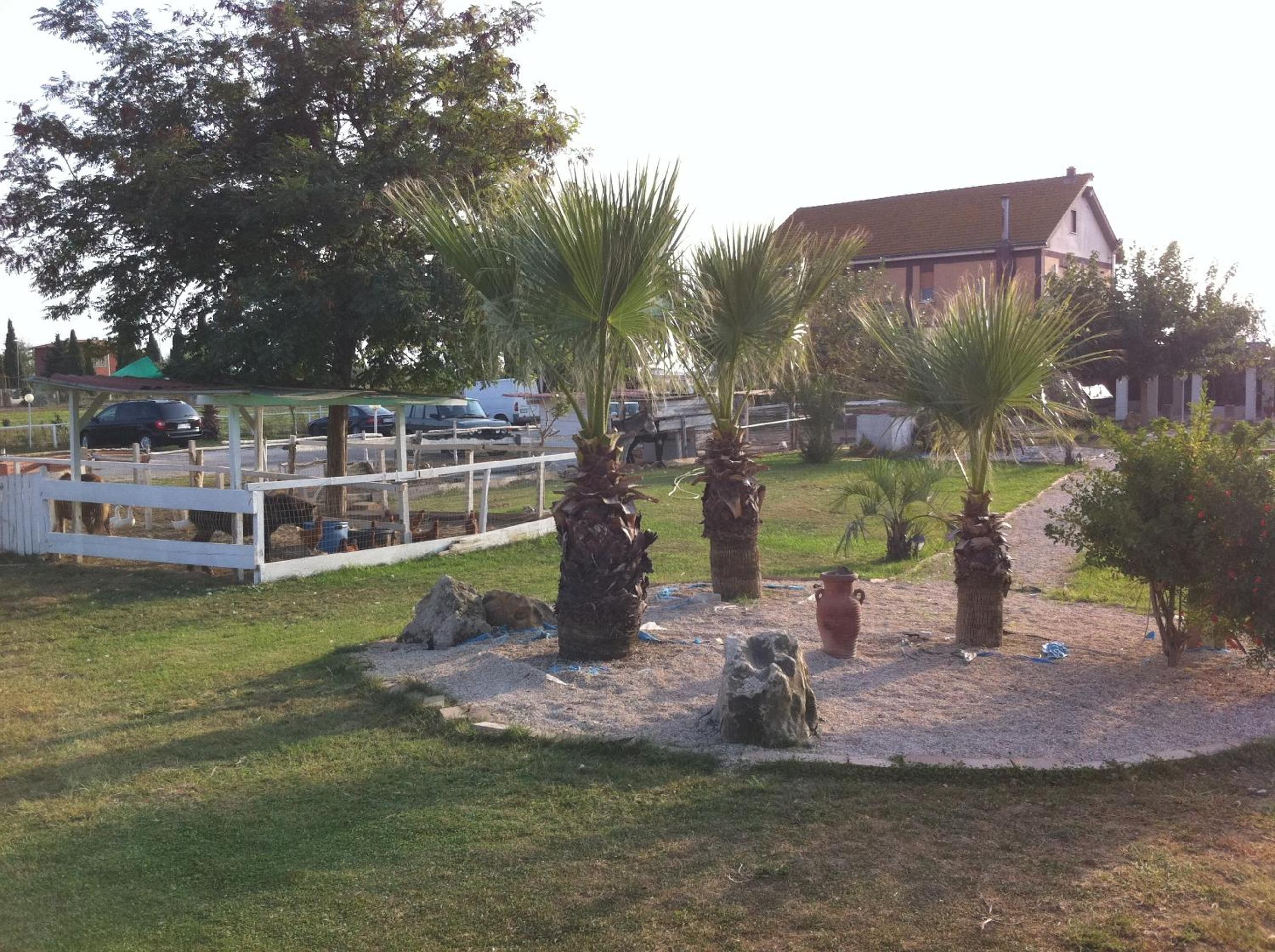 Photo 21