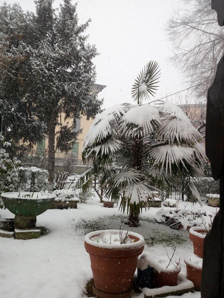 B&B delle Arti, photo 49