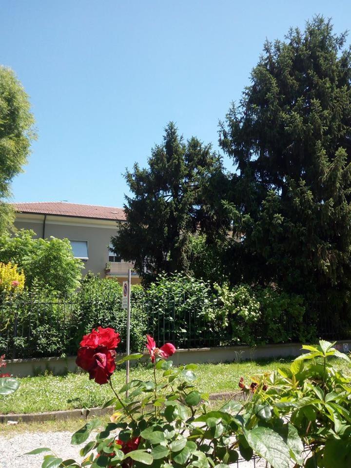 B&B delle Arti, photo 65