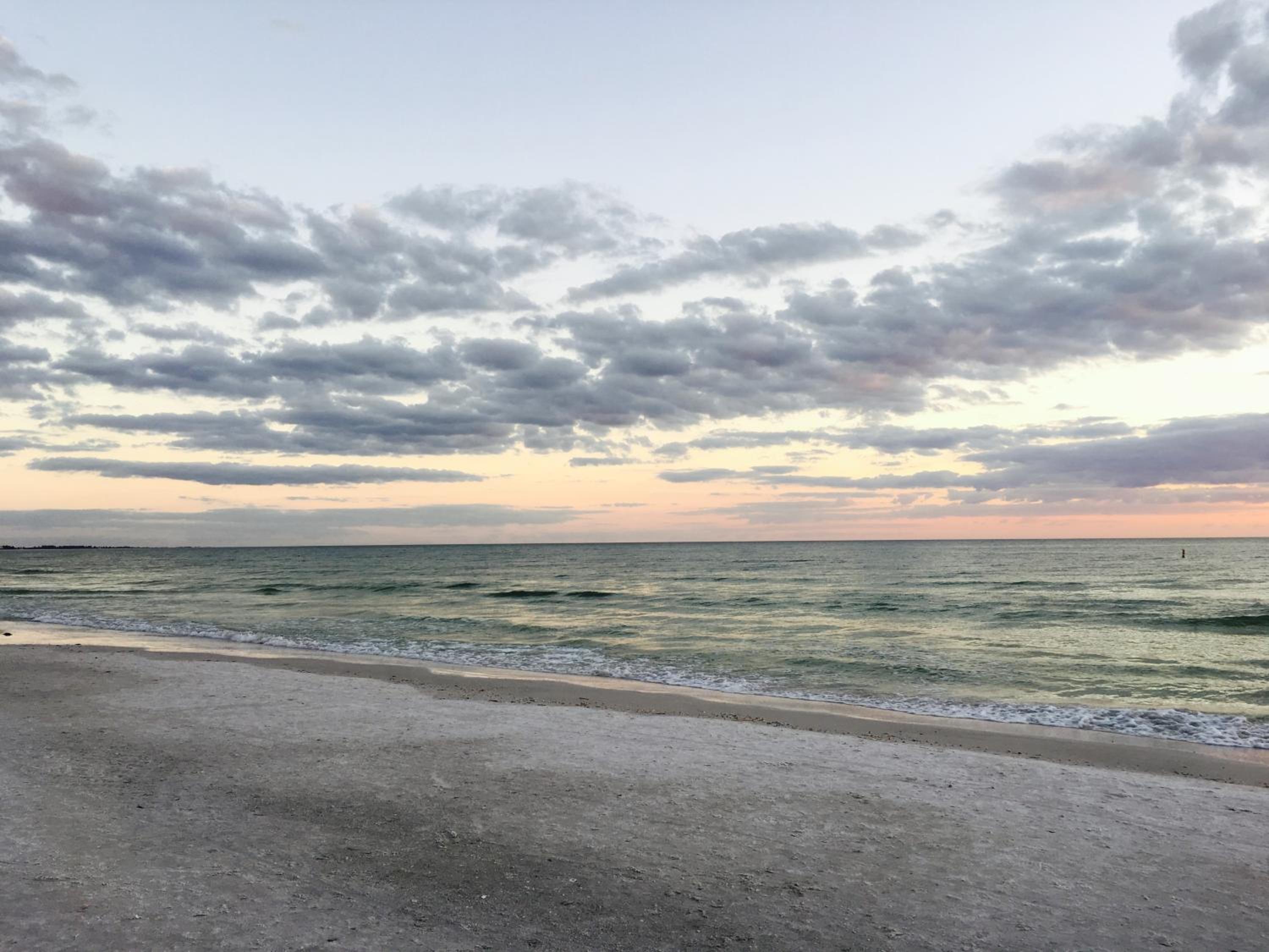 Near Beaches & IMG Academy, Mins to Downtown Oasis Villa Retreat view 5