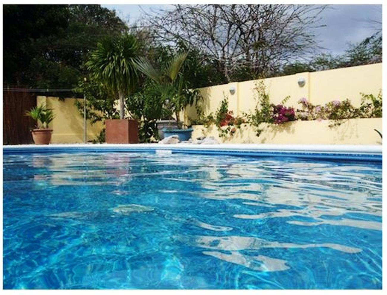 Dolphin Hearthouse
