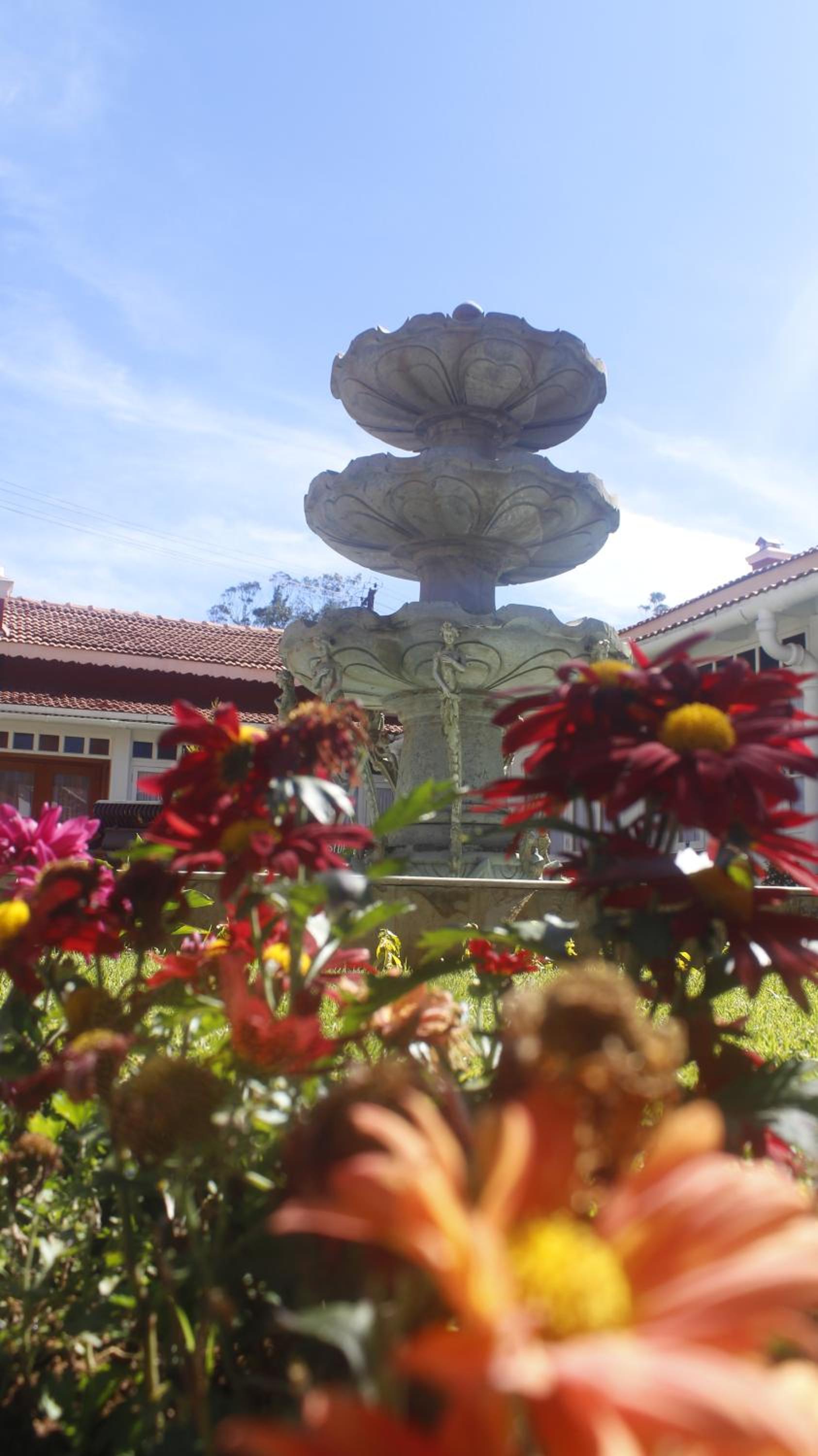 West Downs - The Heritage Resort