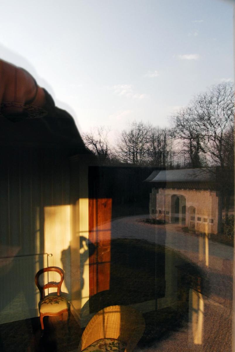 Photo 50