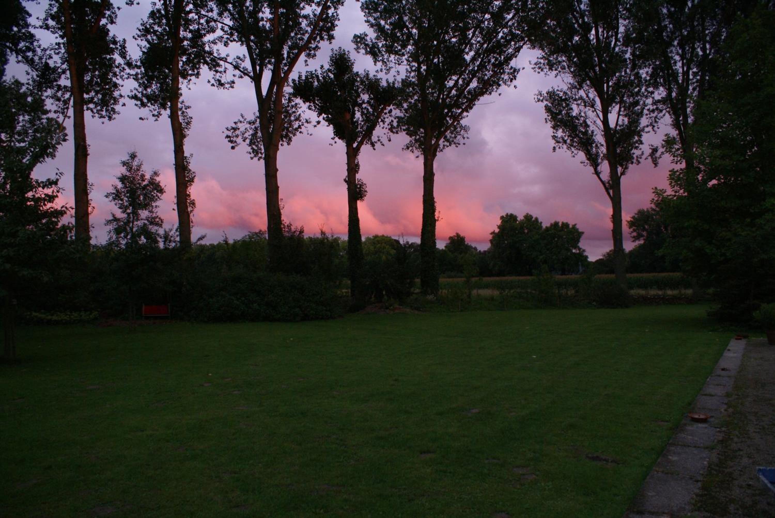 B&B De Metstermolen