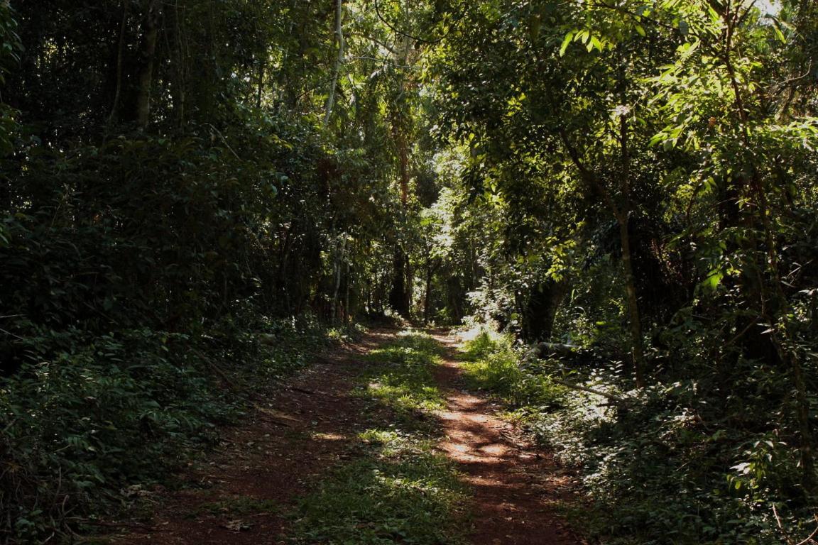 Surucua Reserva & Ecolodge