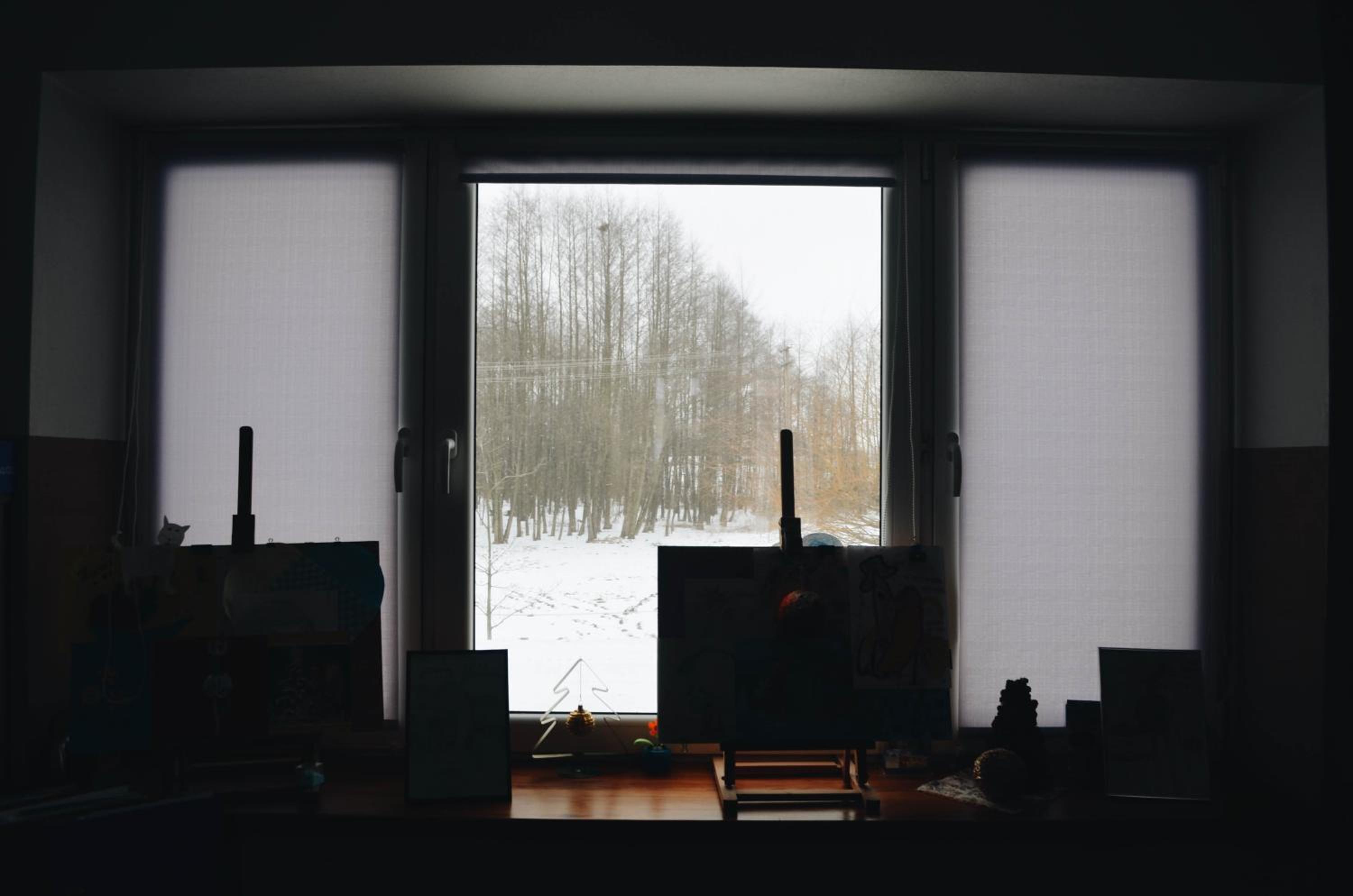 Photo 42