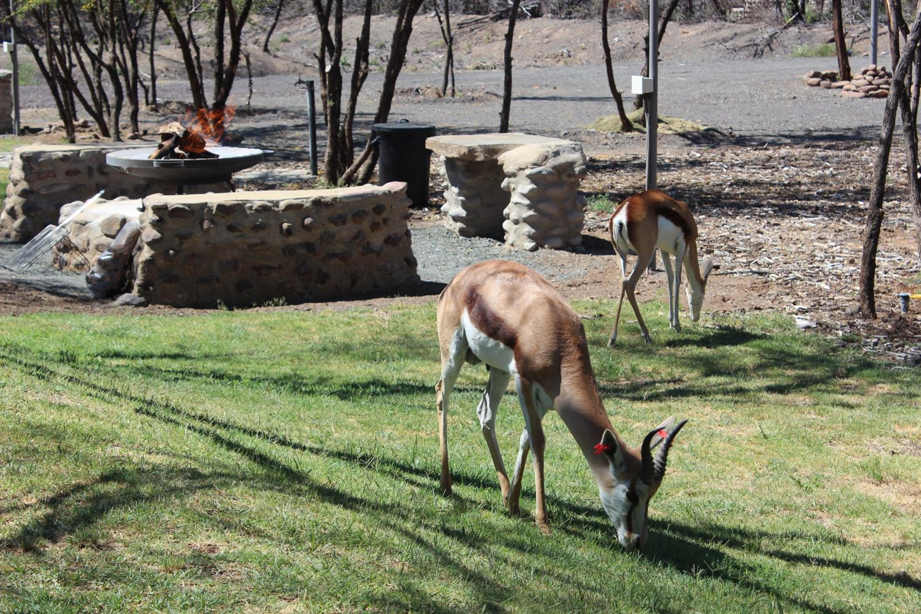 Teri-Lemveli Lodge