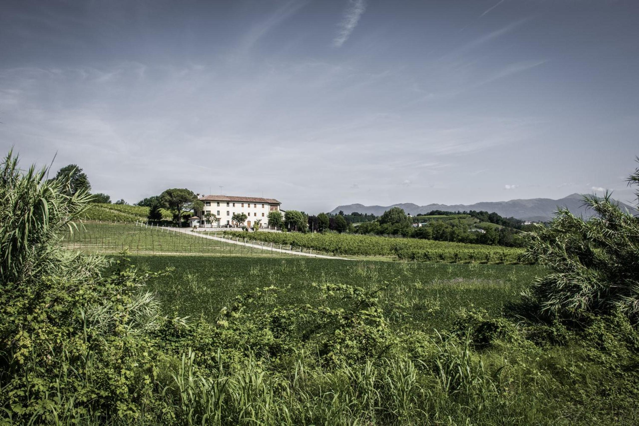 Terre Boscaratto view 5