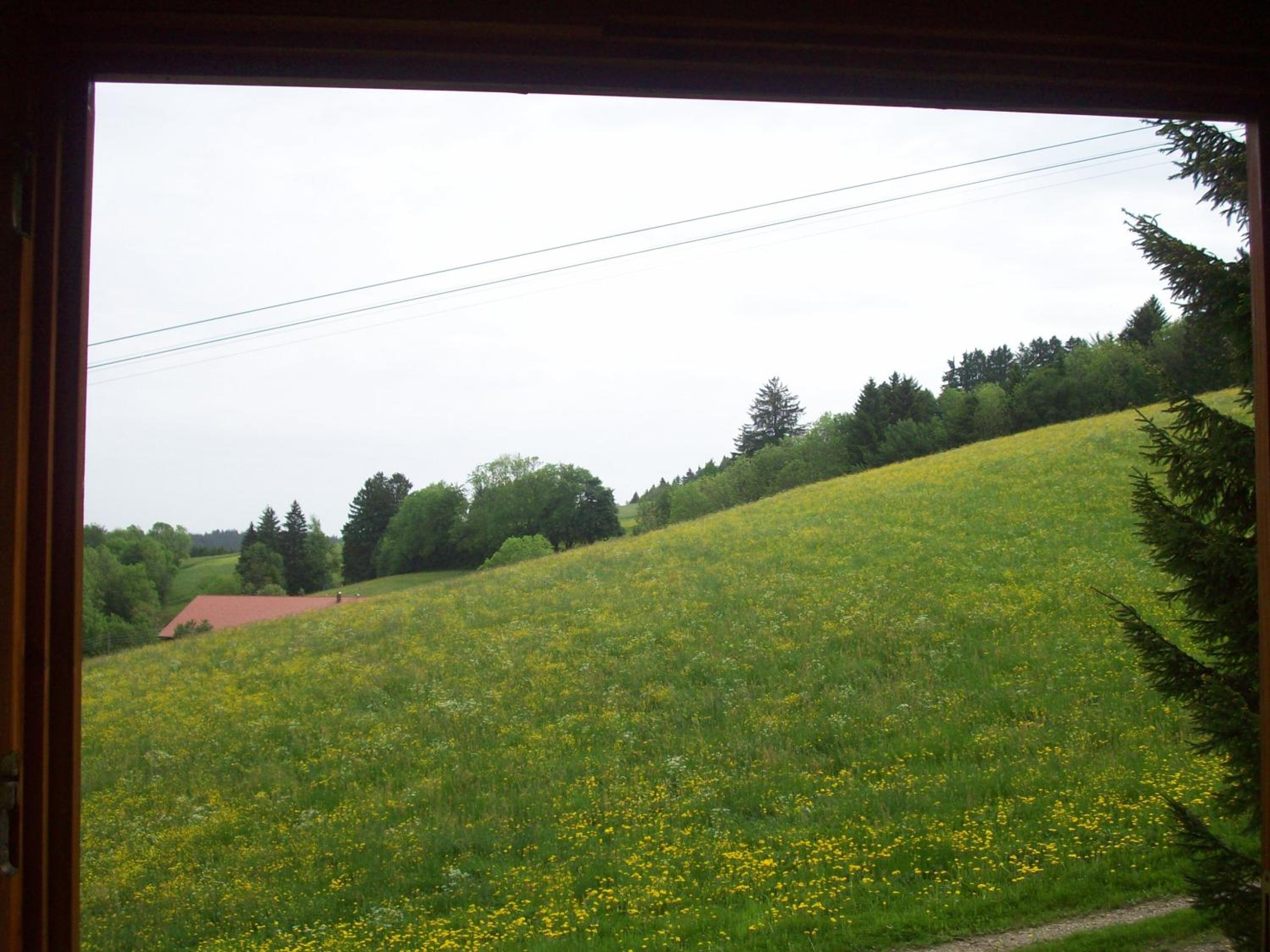 Fewo am Skihang / Bergwiese view 5