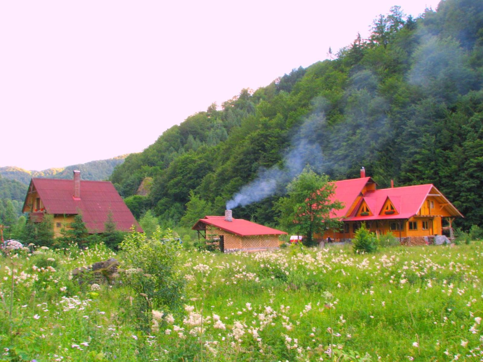 Photo 49