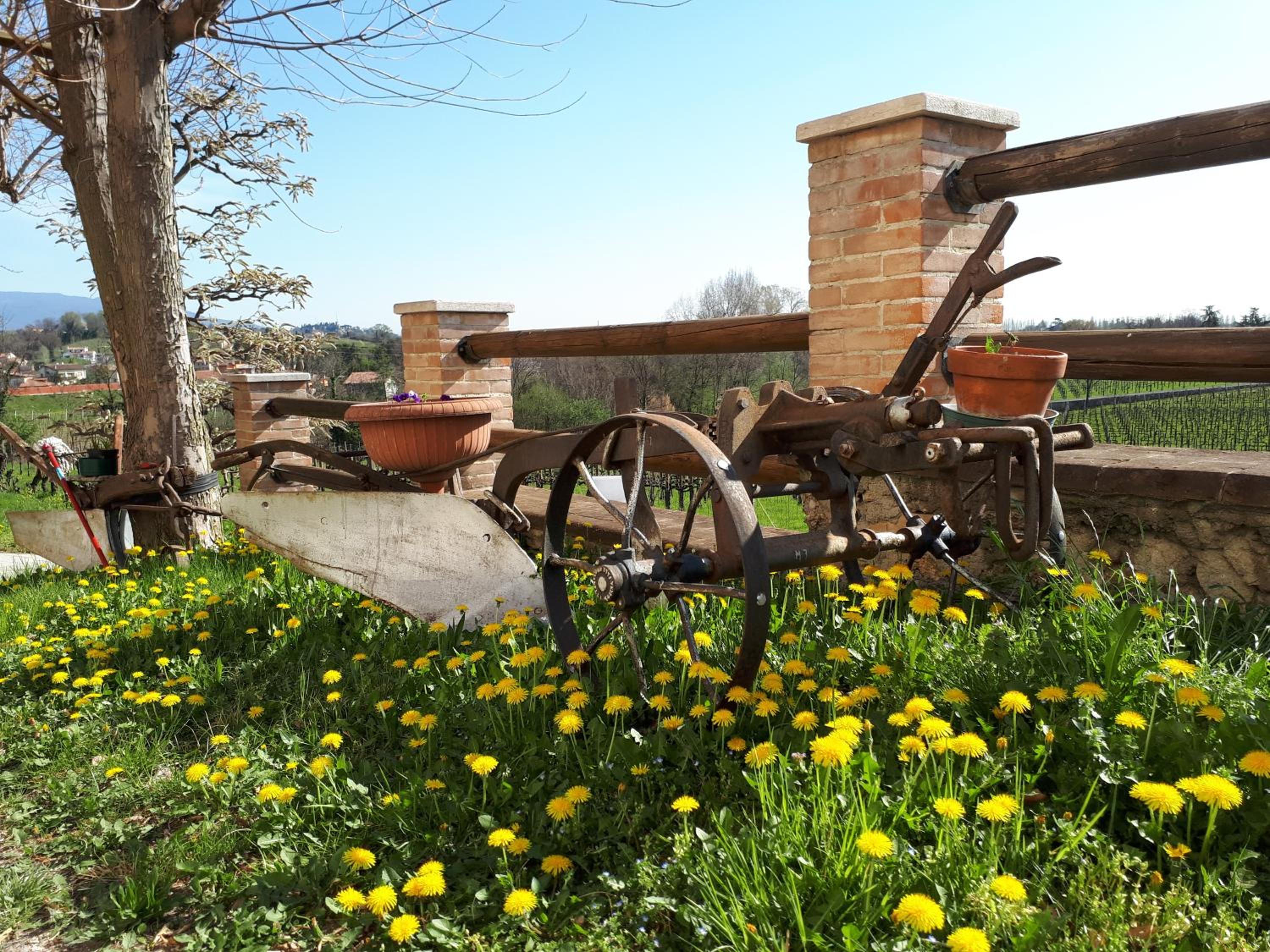 Terre Boscaratto view 4