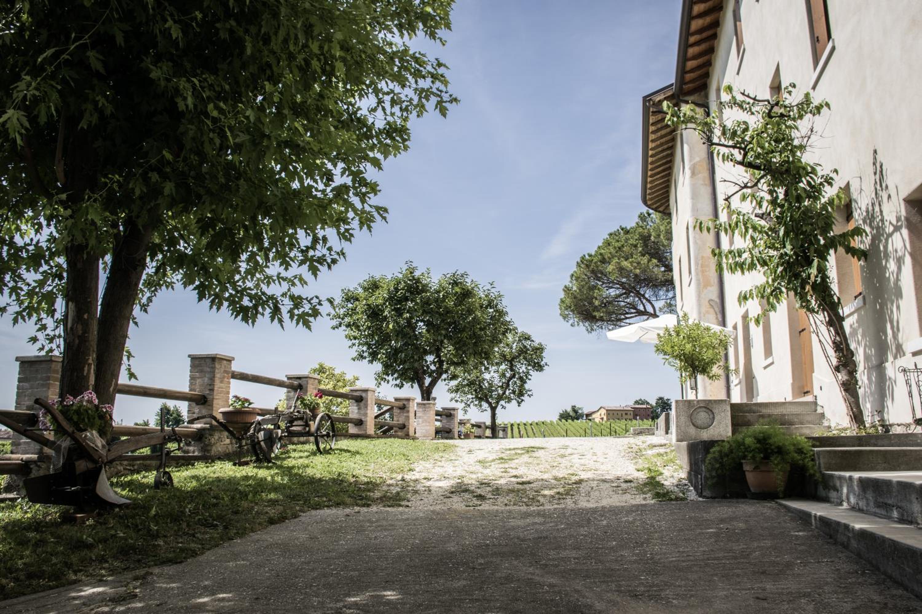 Terre Boscaratto view 3