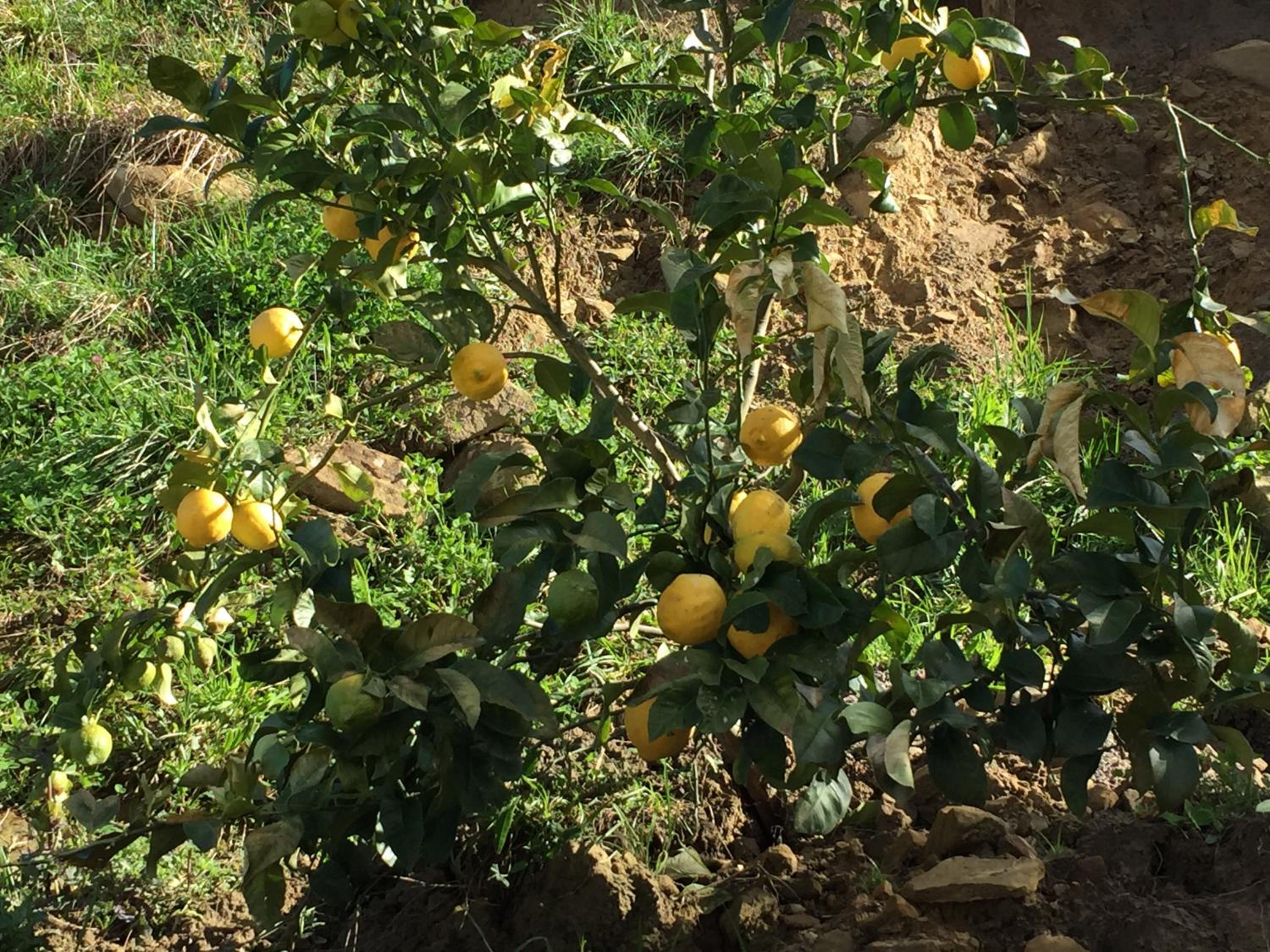 Agroturismo Itxaspe