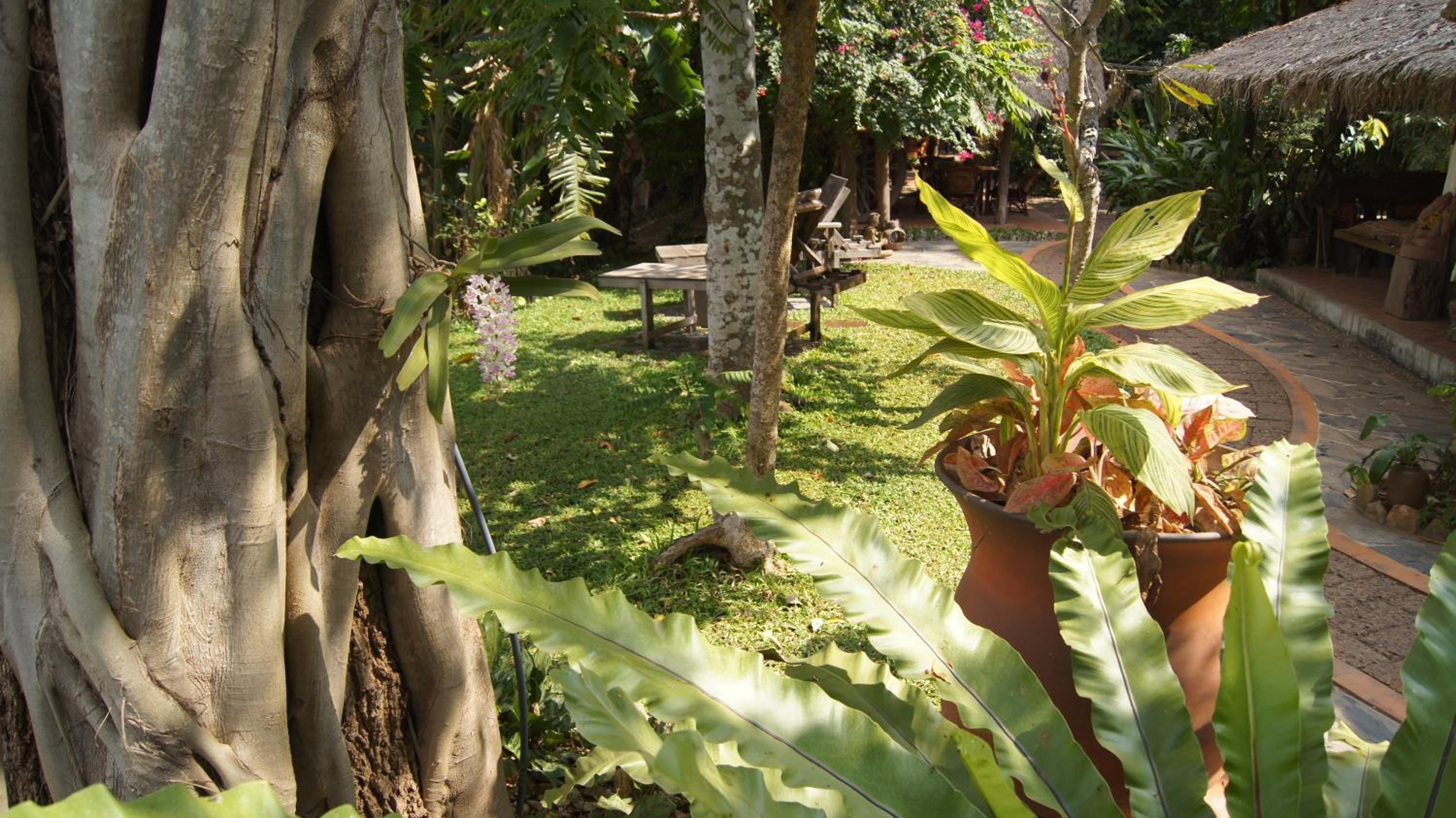 Mut Mee Garden Guest House