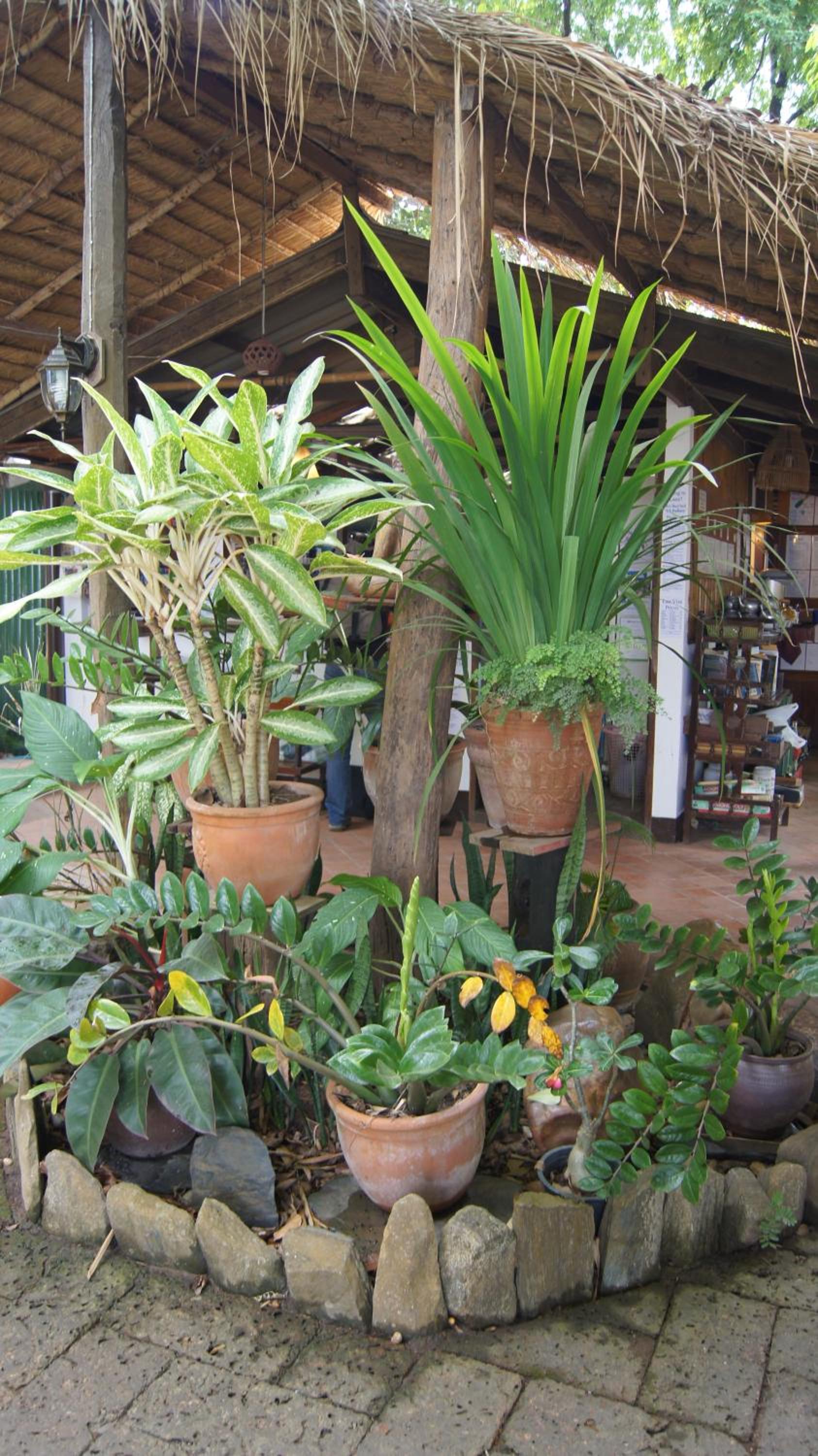 Mut Mee Garden Guest House