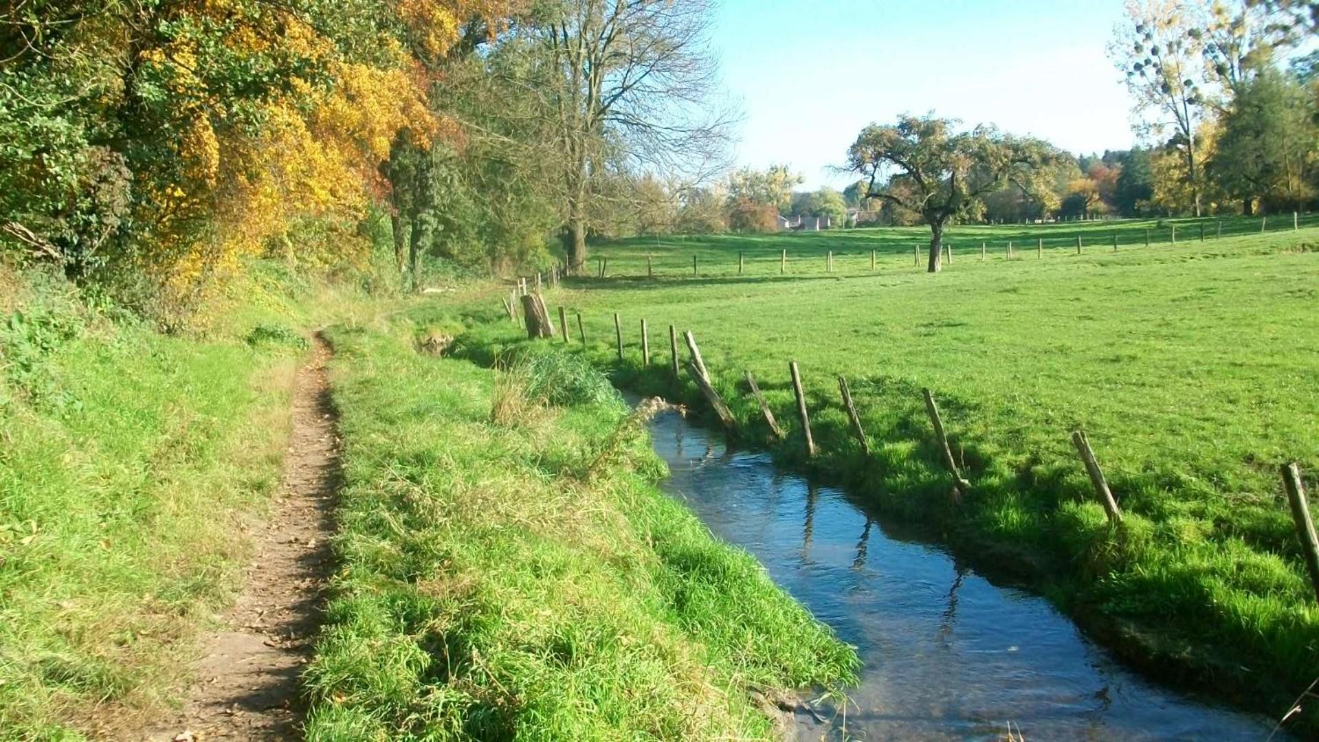 'tMaelhof
