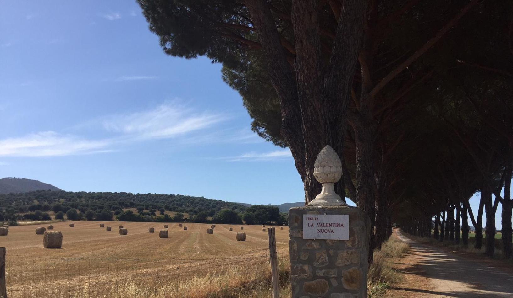 Agriturismo La Valentina Nuova