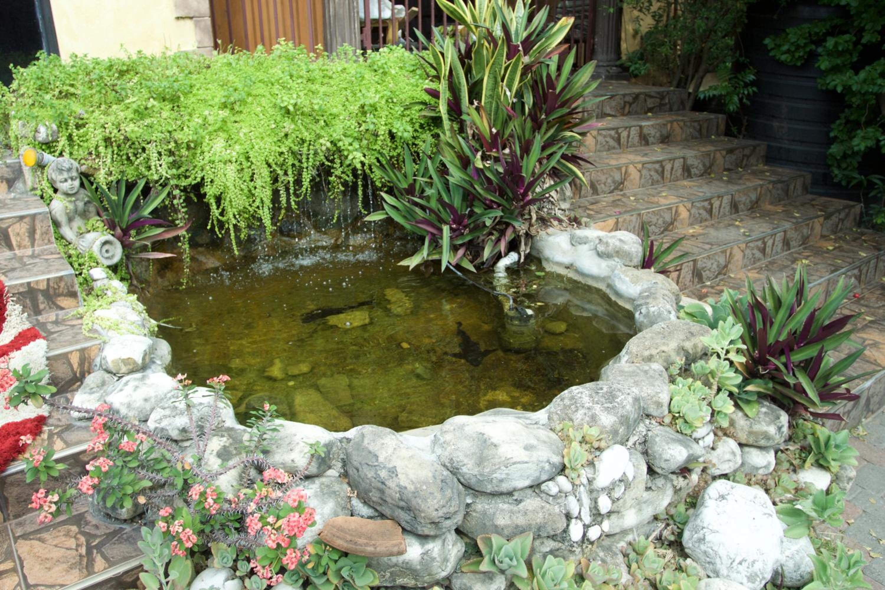 Photo 20