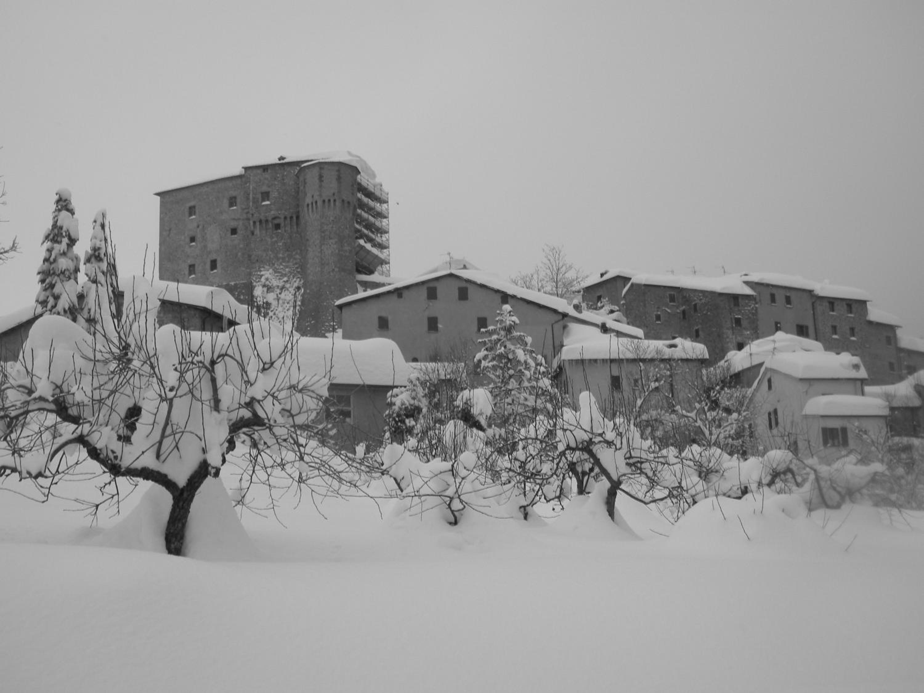 Photo 45