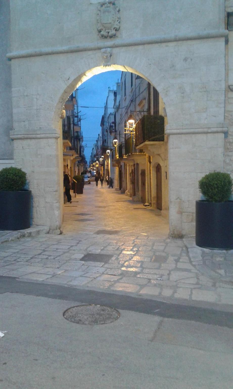 Photo 23