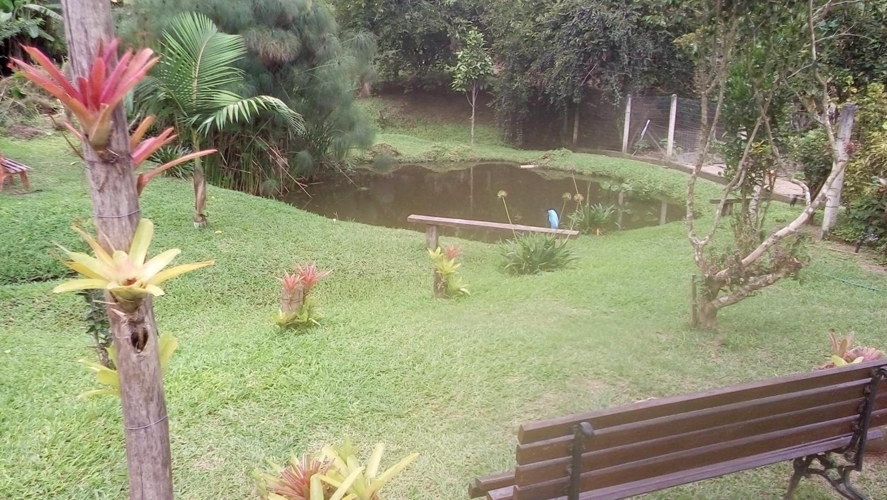 Sítio e Pousada Recanto Dos Ipês