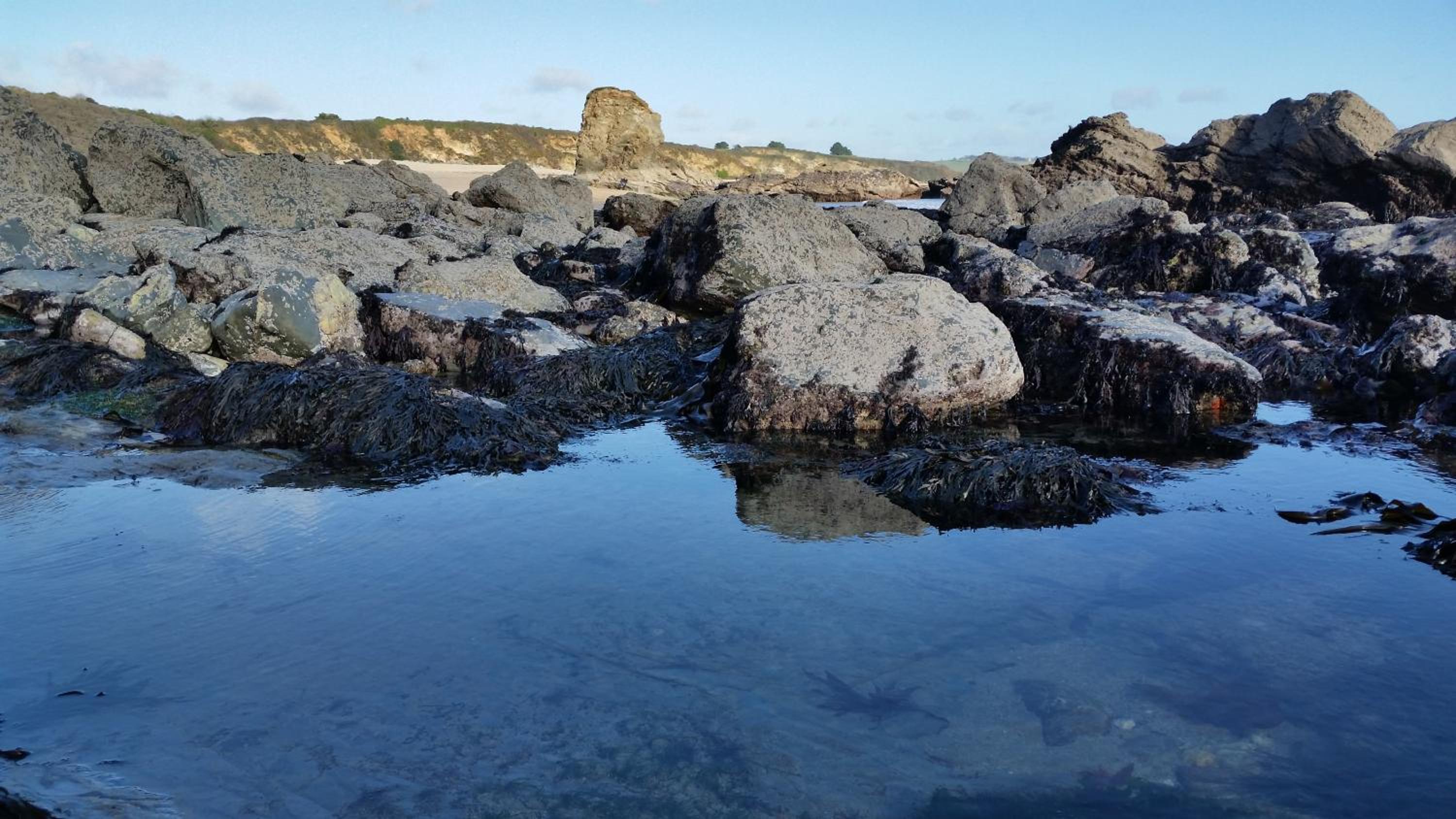 Seaclusion, photo 15