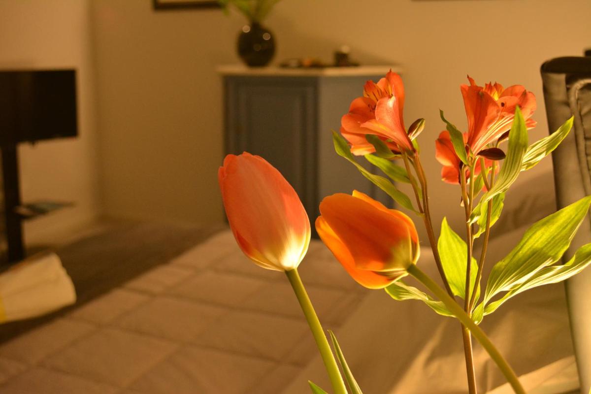 Valuan Luxury Home photo 5