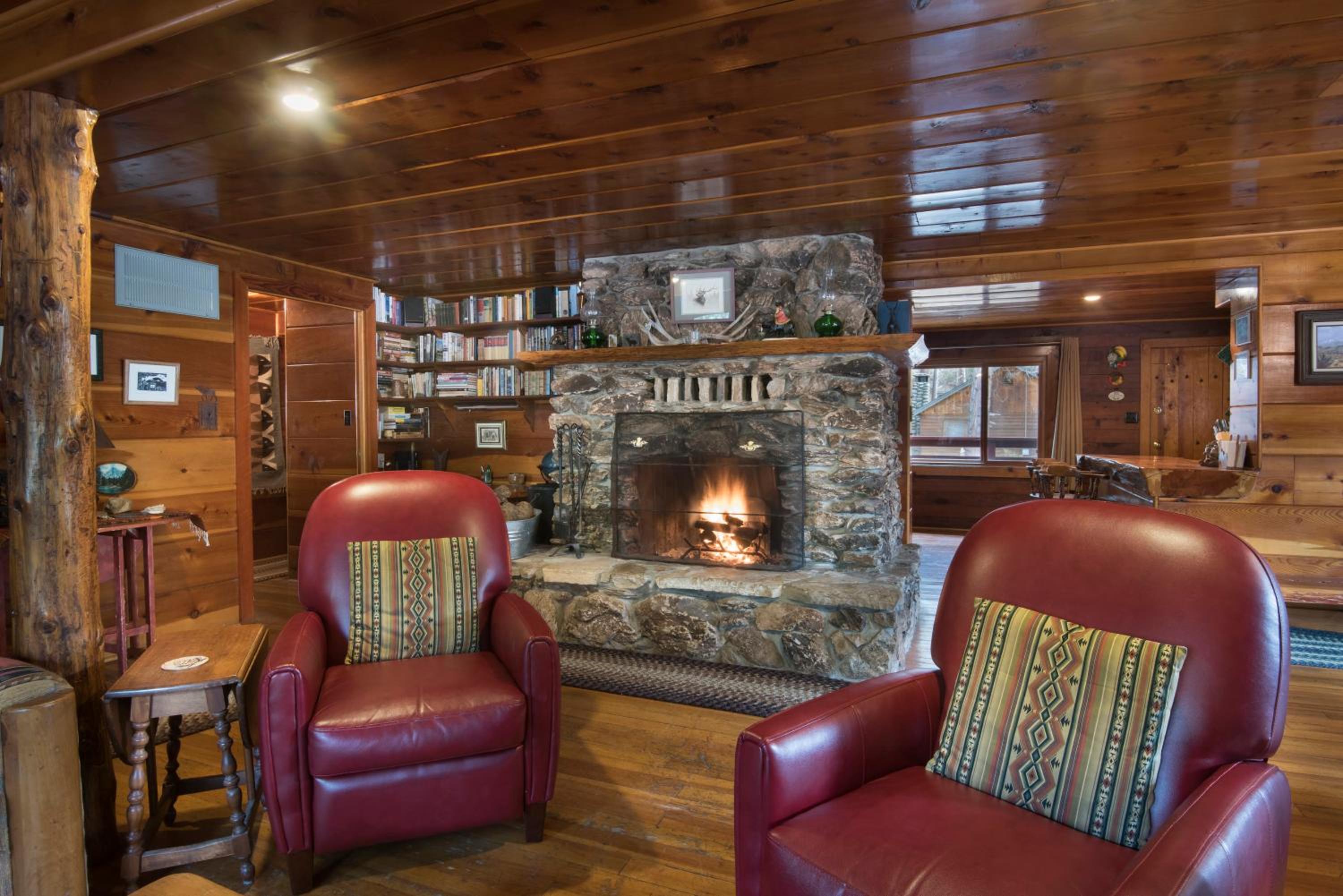 37 Wapiti view 4