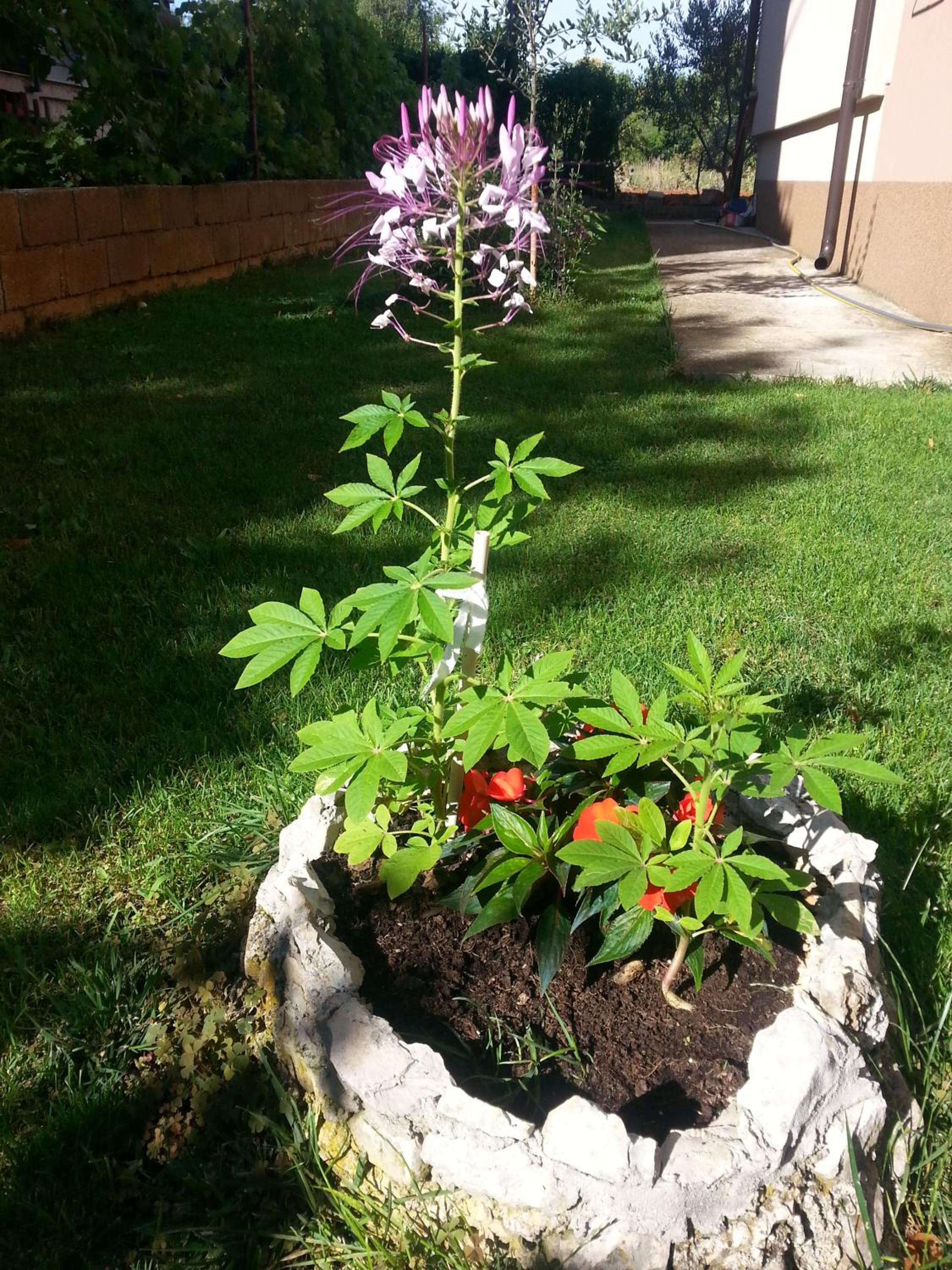 Photo 19