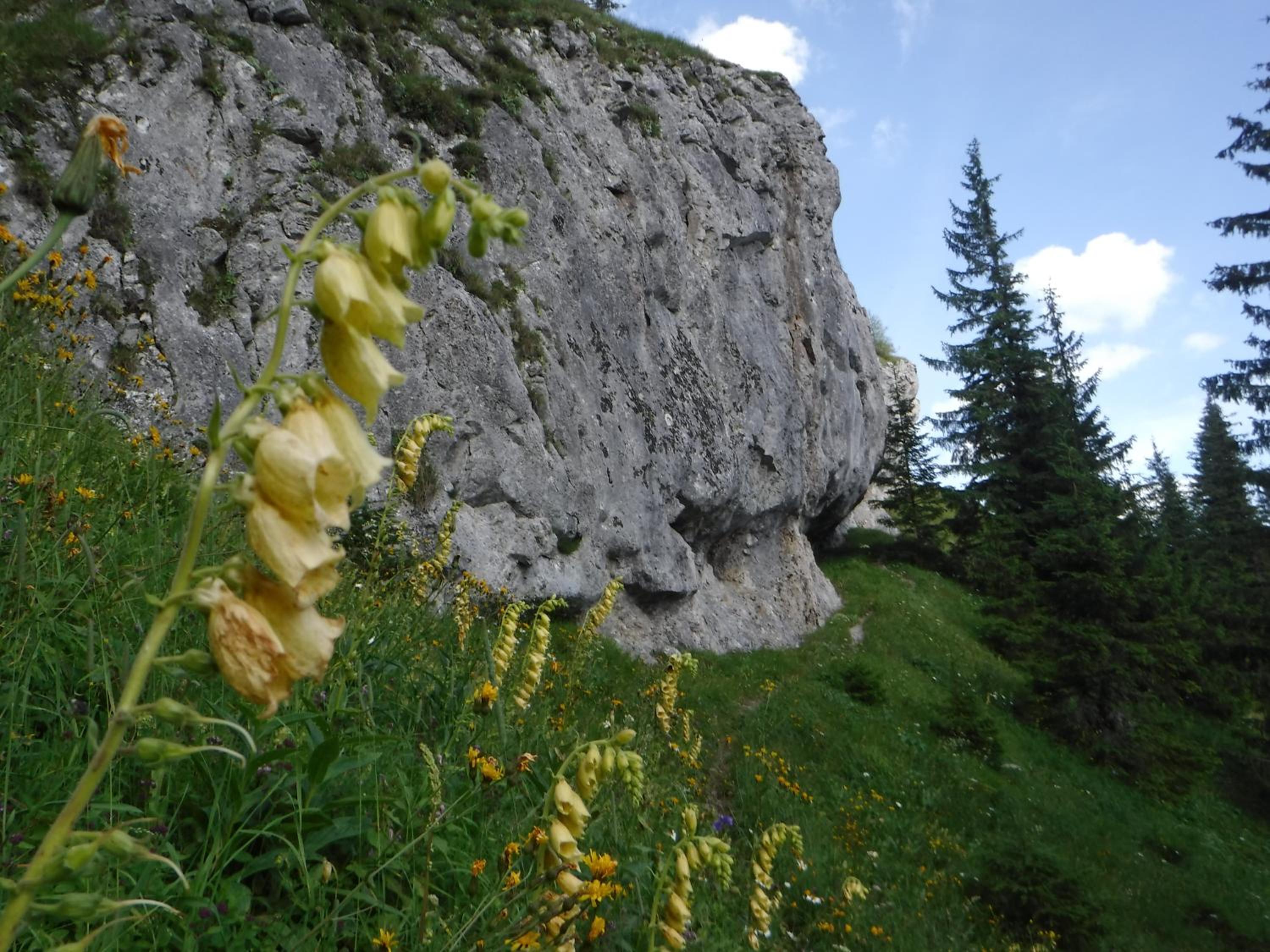 Photo 45