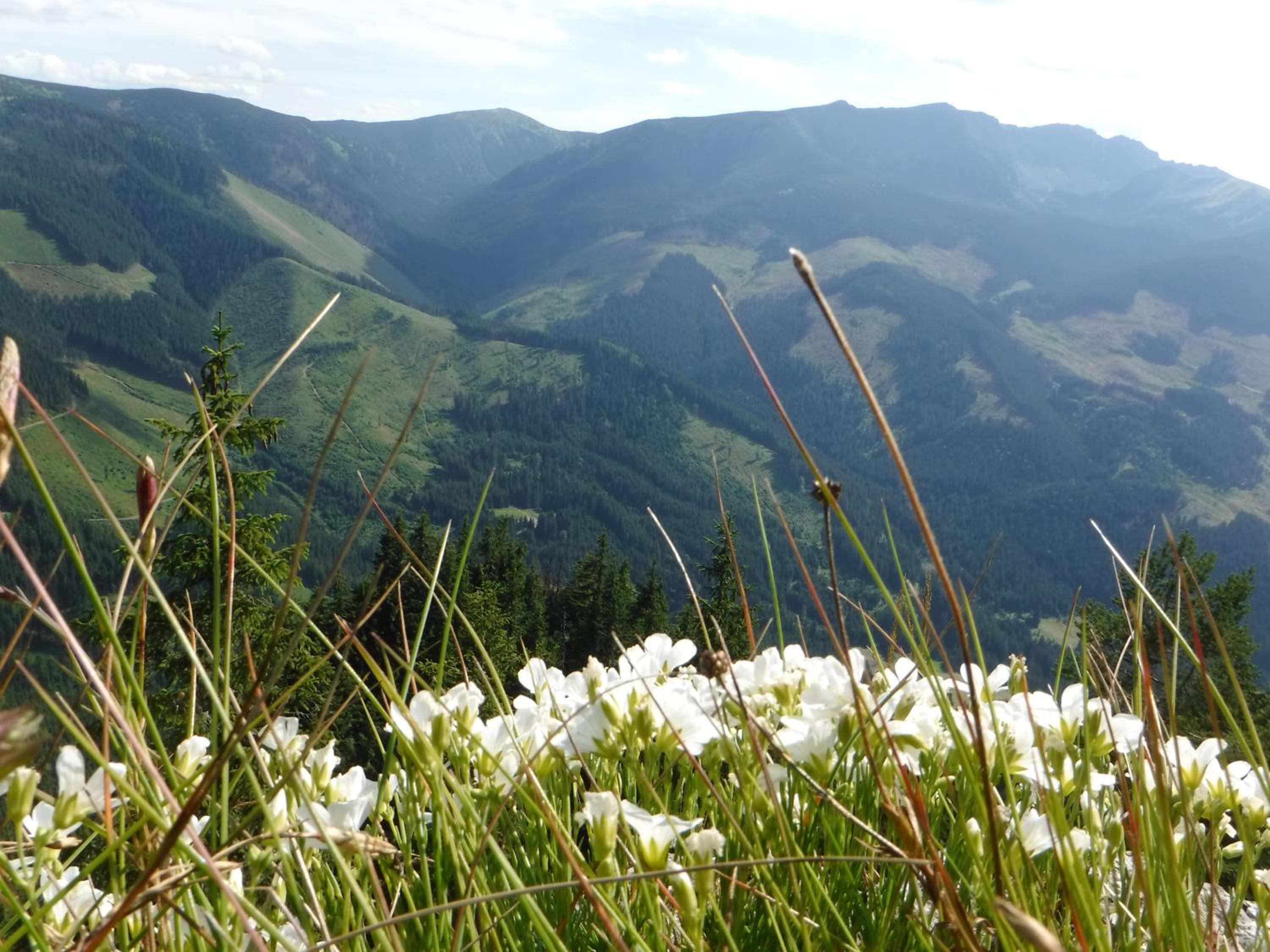Photo 47