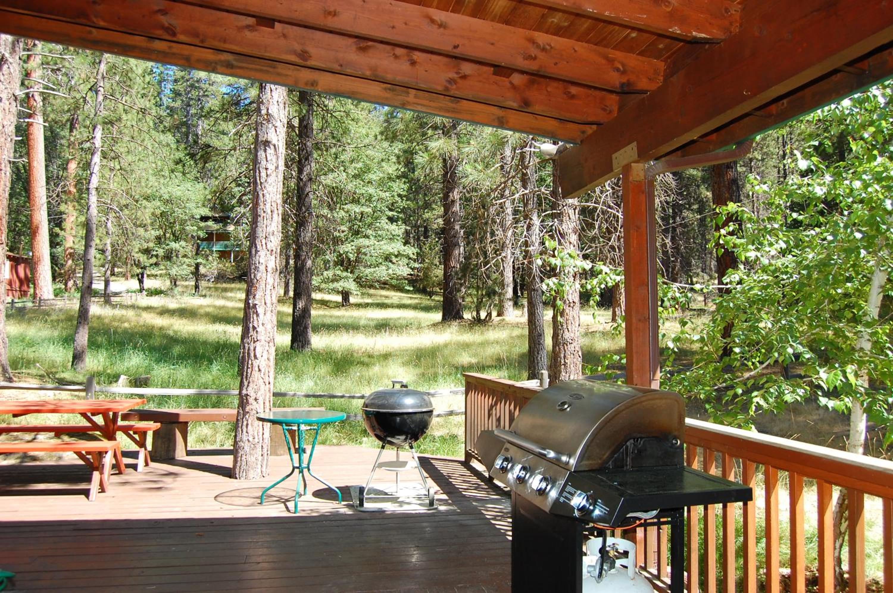 93R Deer Lodge view 4