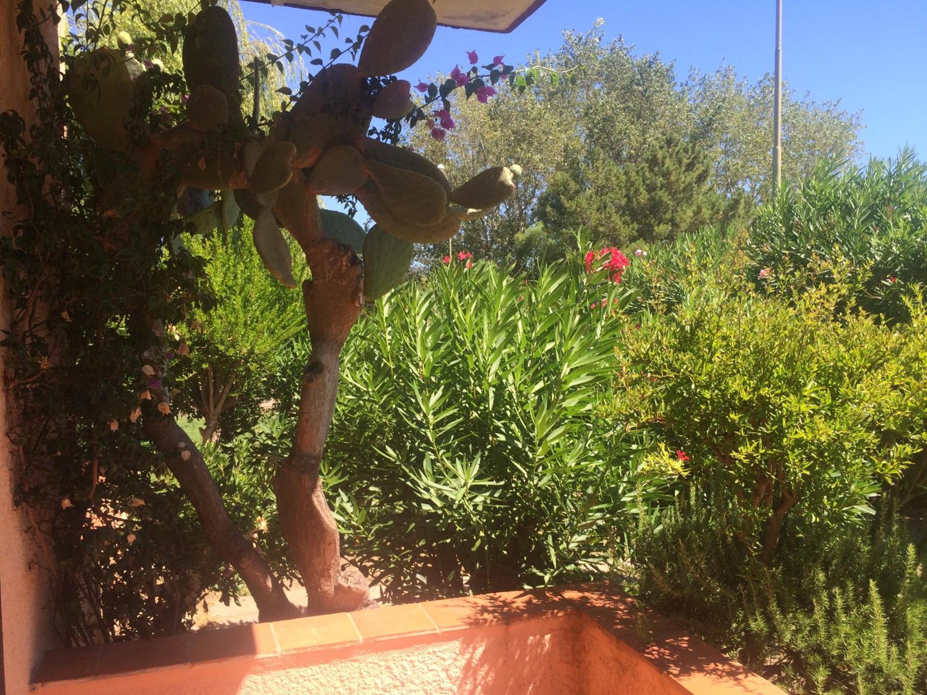 Photo 26