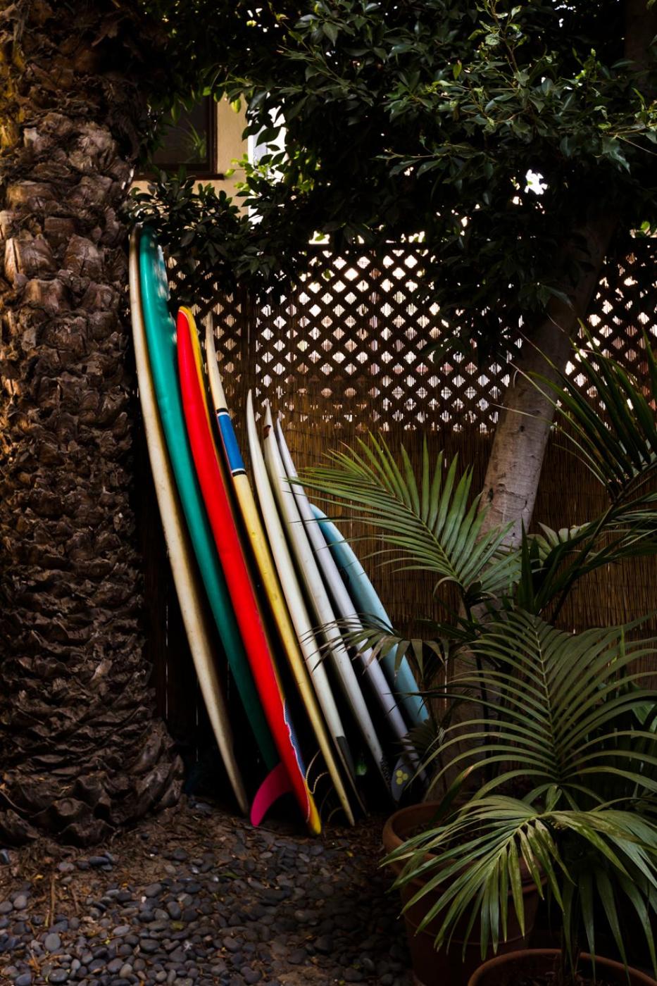 The Venice Beach House
