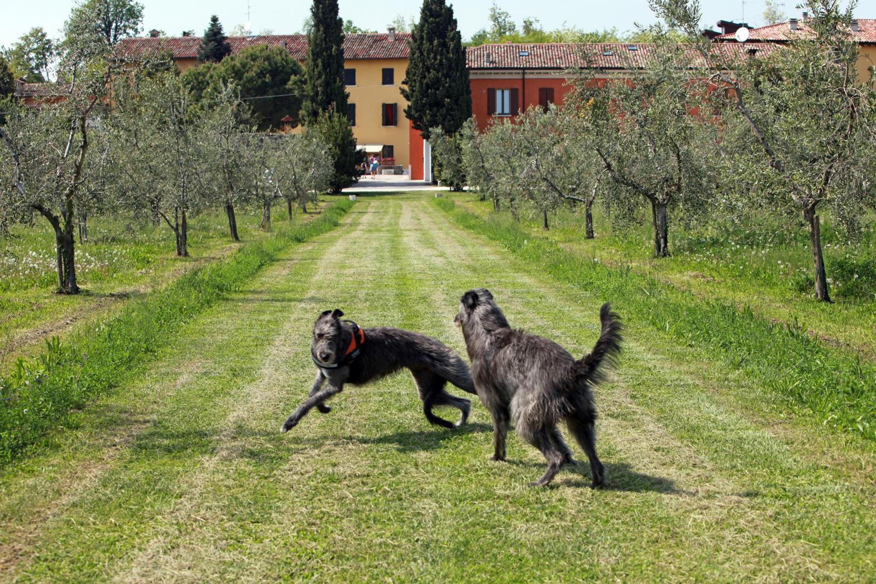 Agriturismo La Filanda