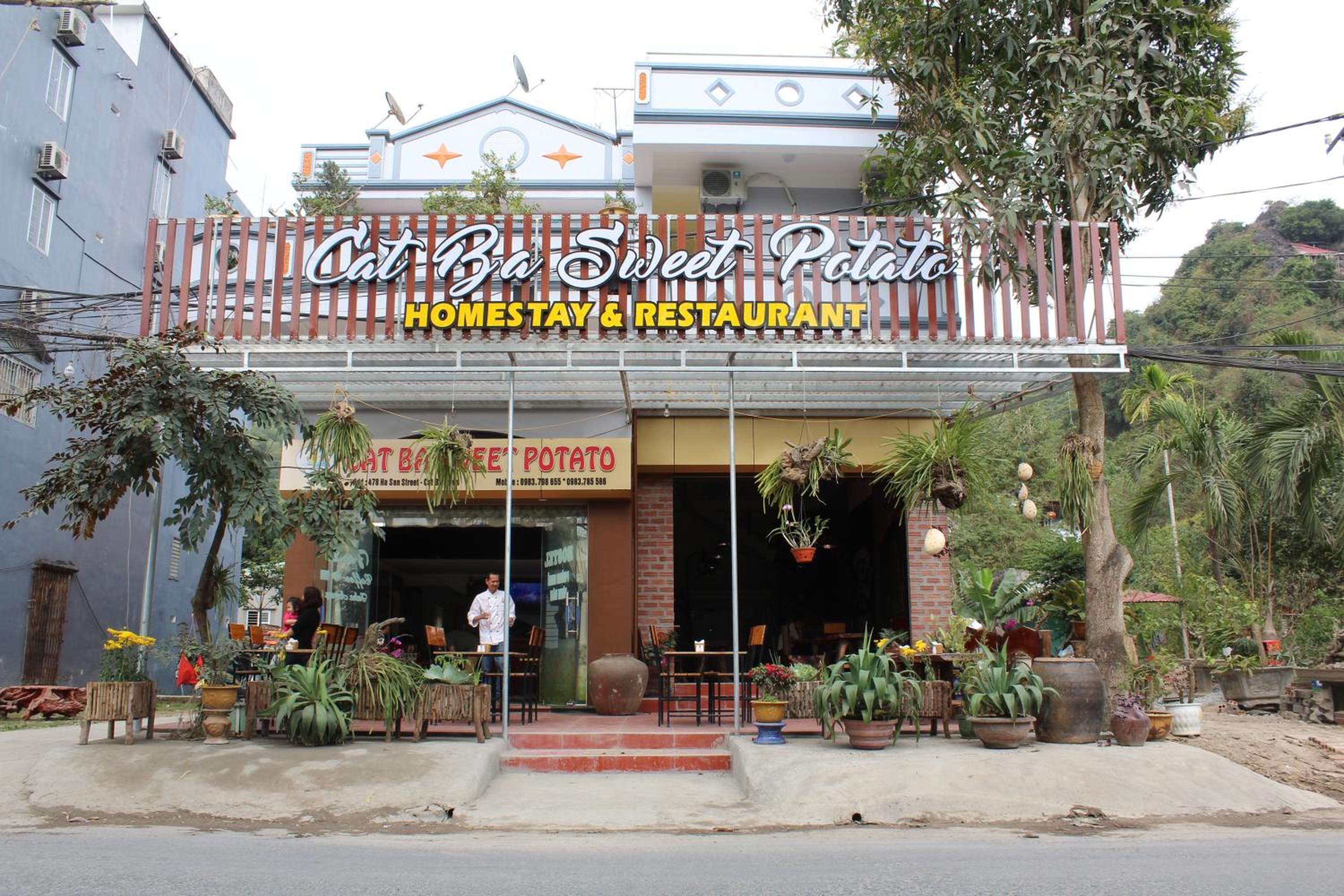 Cat Ba Sweet Potato Homestay