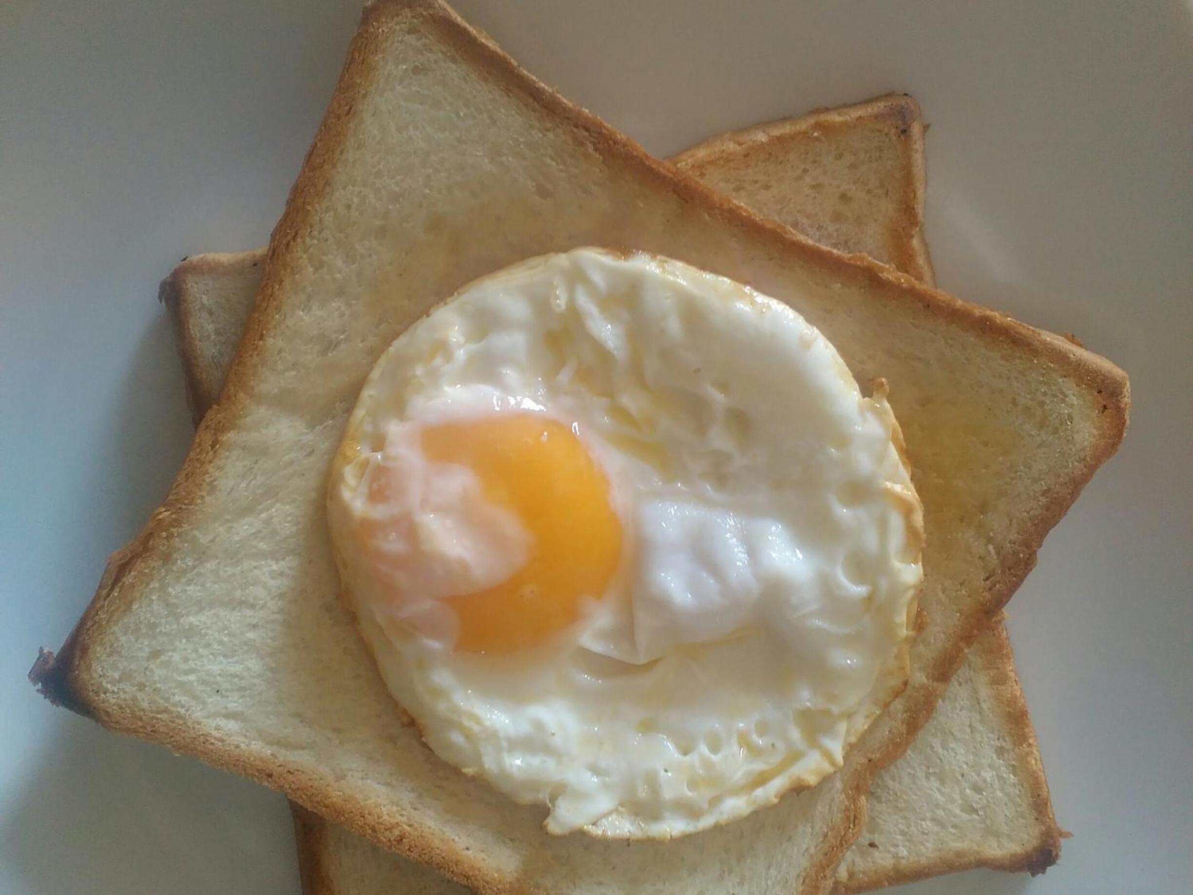 Photo 48
