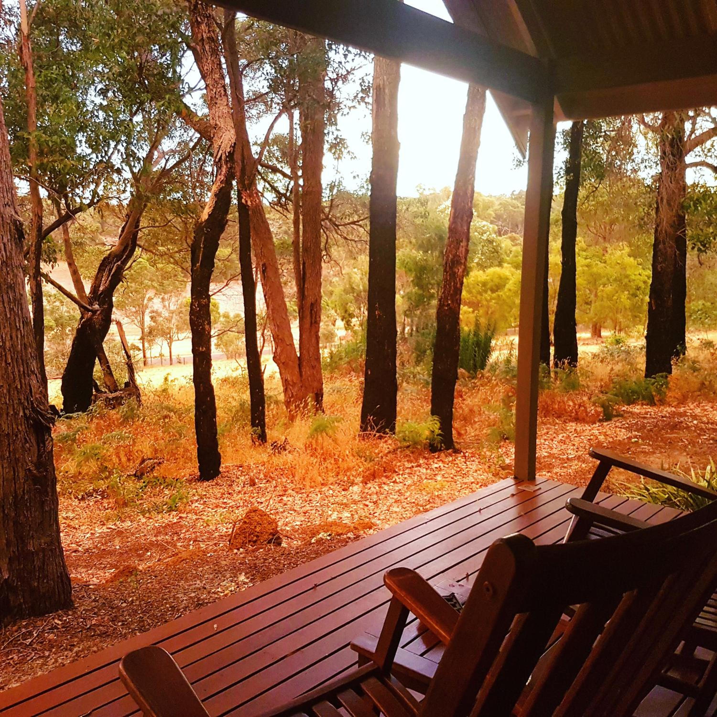 Hotel Chandeliers On Abbey