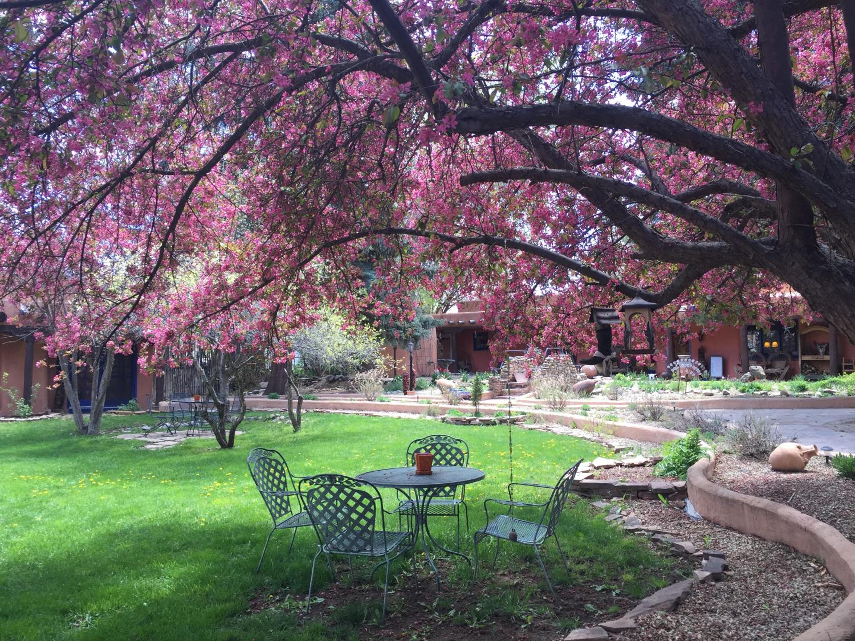 Adobe and Pines Inn Bed and Breakfast
