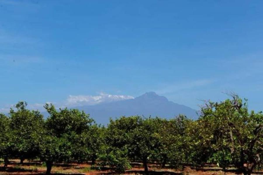 Voyager Ziwani Tented Camp view 5