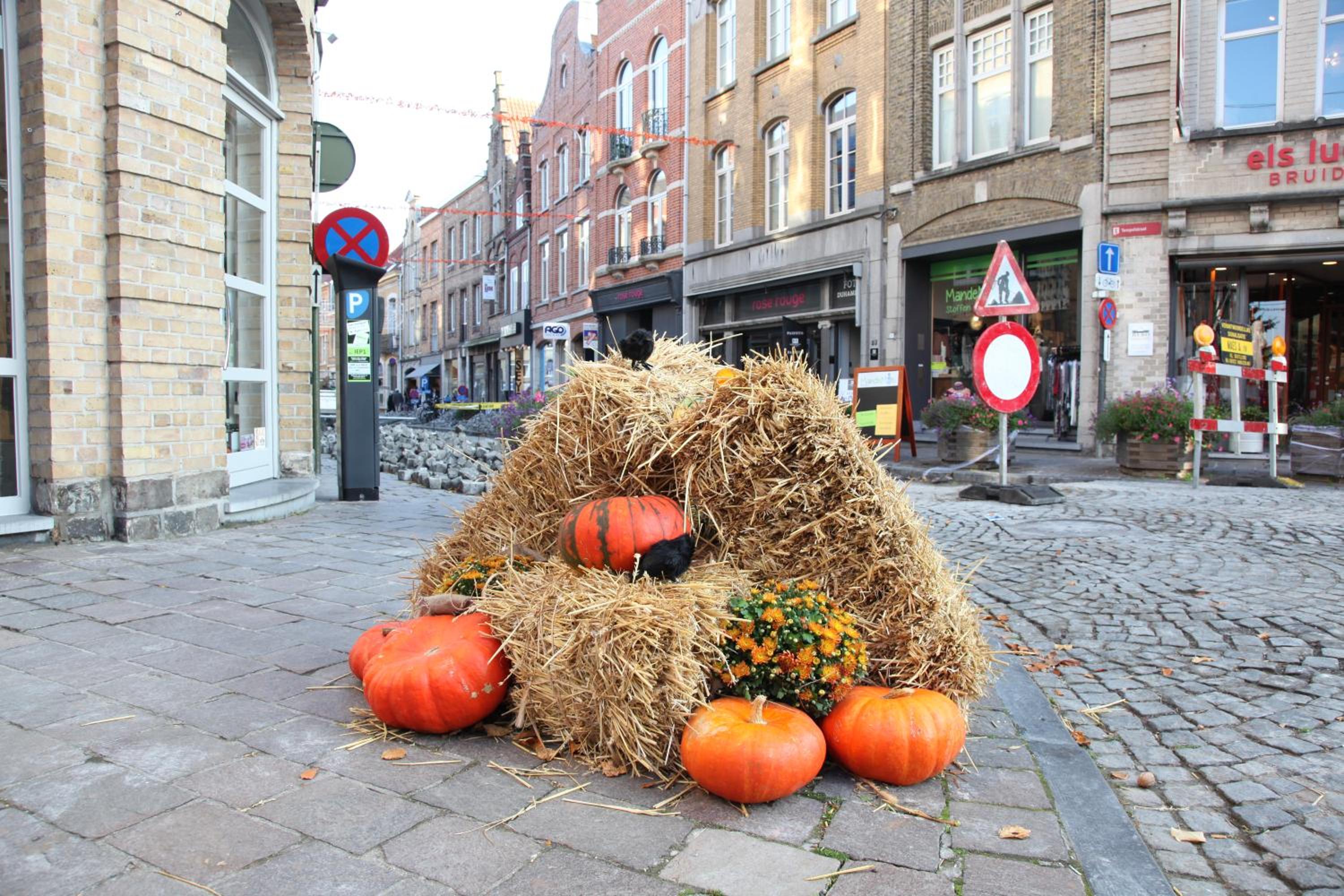 Photo 47