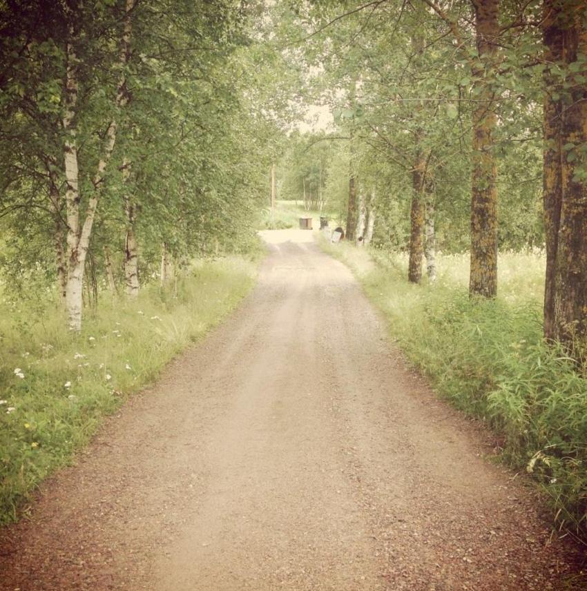 Photo 37