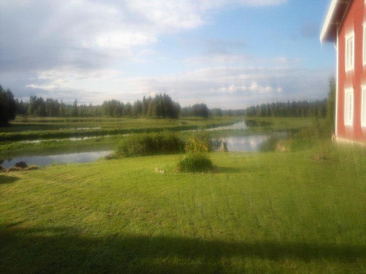 Photo 39