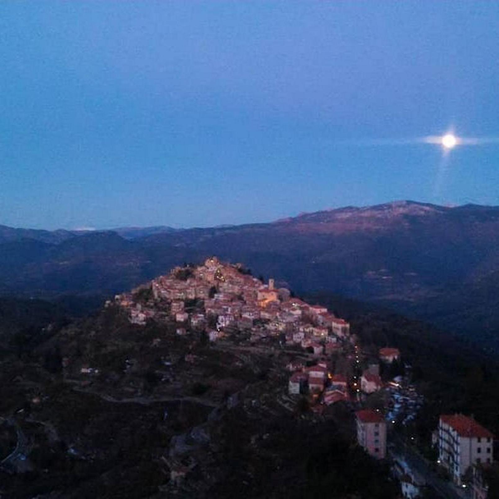 B&B Le Camelie del Bosco